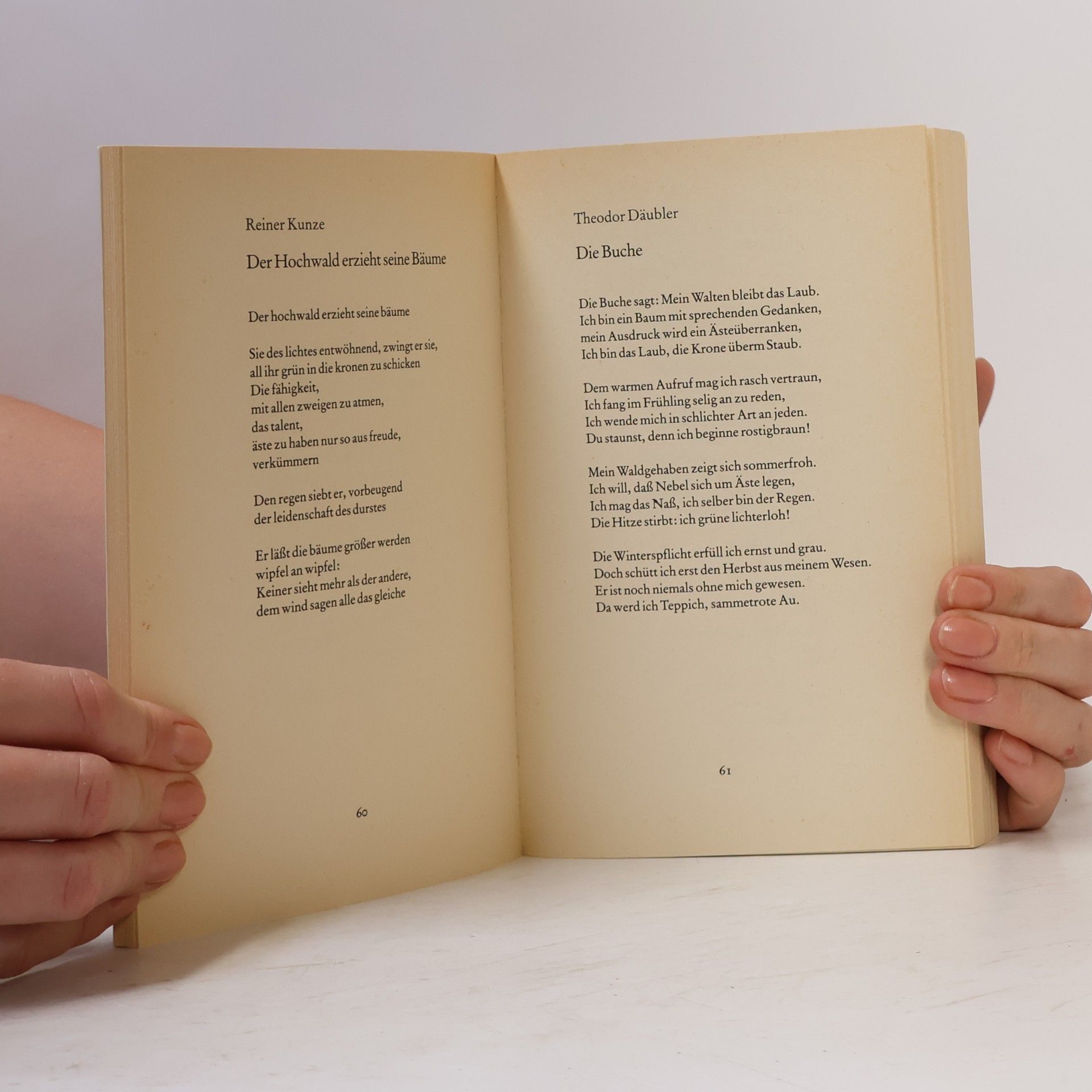 Autorenkollektiv Das Rowohlt Lesebuch der Poesie