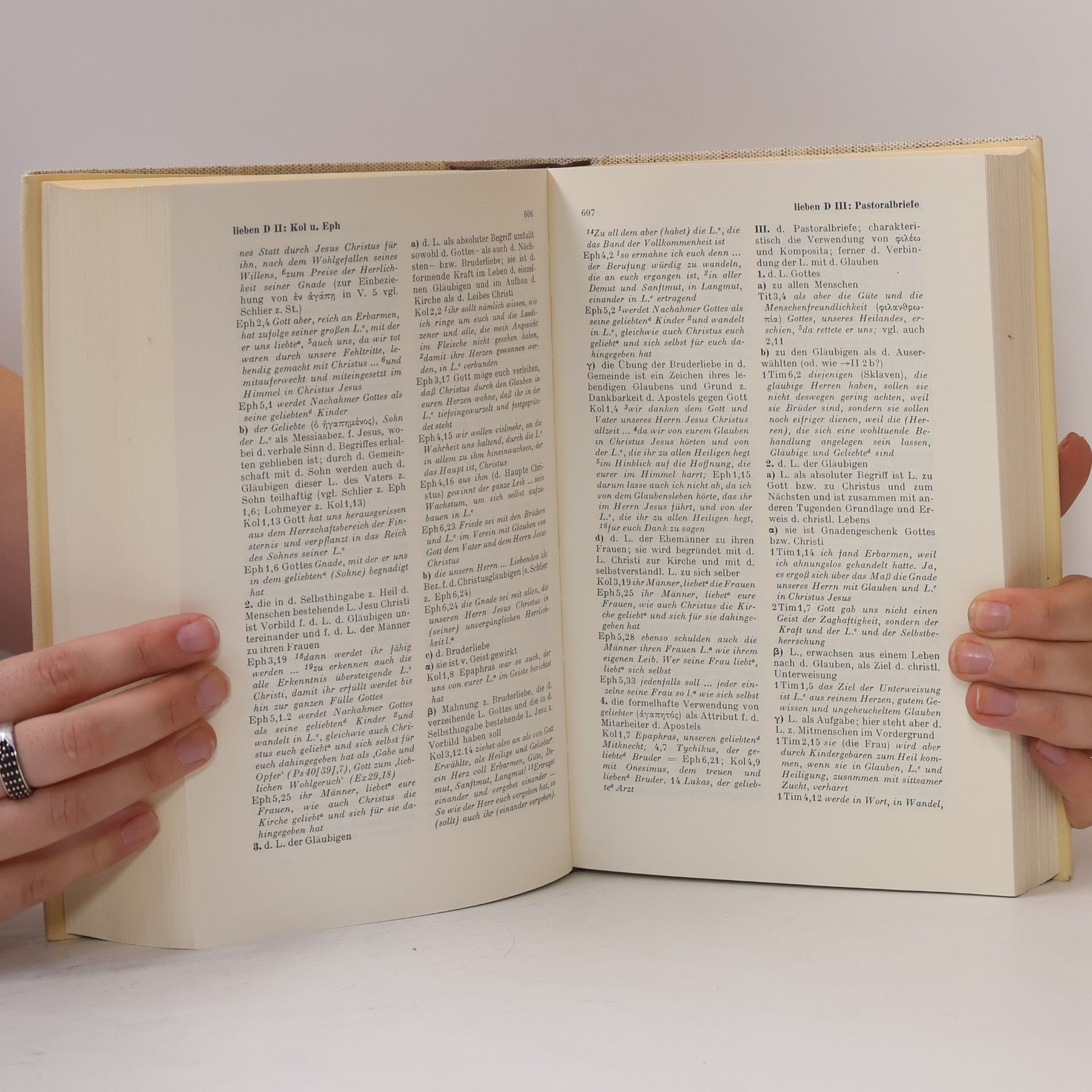 Various authors Regensburger Neues Testament. Deutsches Wörterbuch zum Neuen Testament. 10