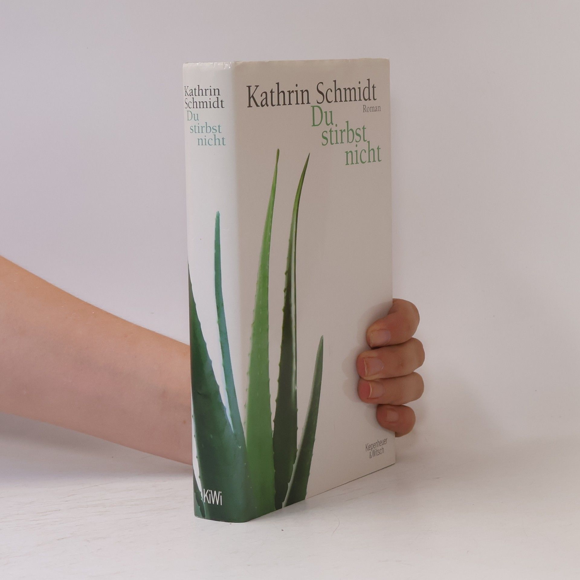 Kathrin Schmidt Du stirbst nicht
