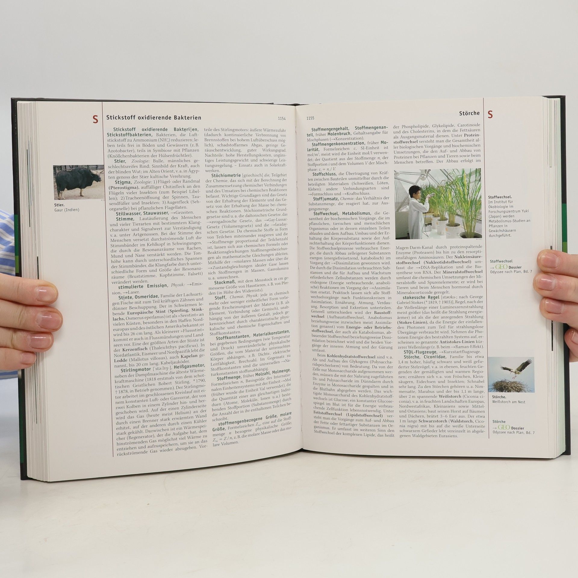 Kolektiv autorů Naturwissenschaften und Technik