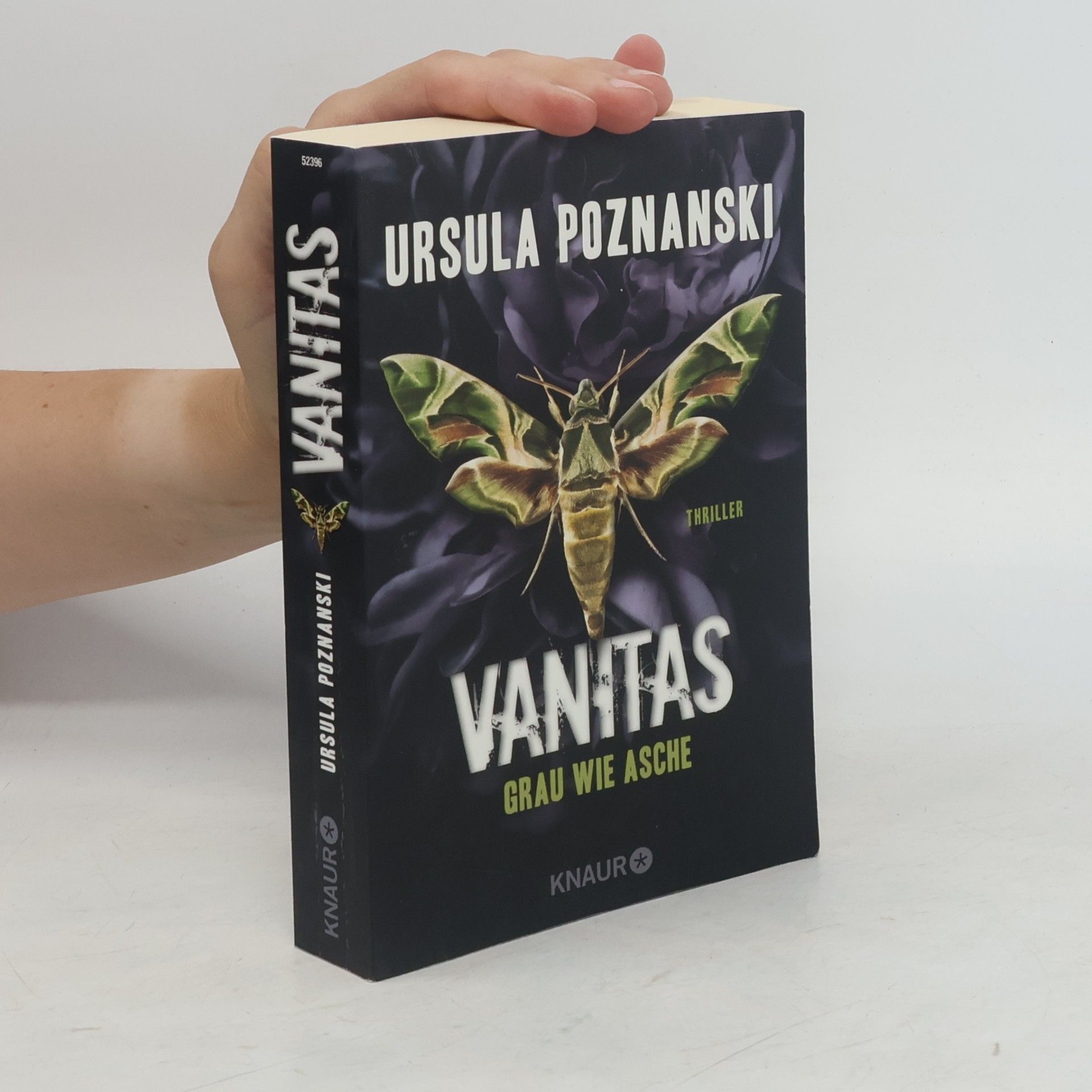 Ursula Poznanski Vanitas. Grau wie Asche