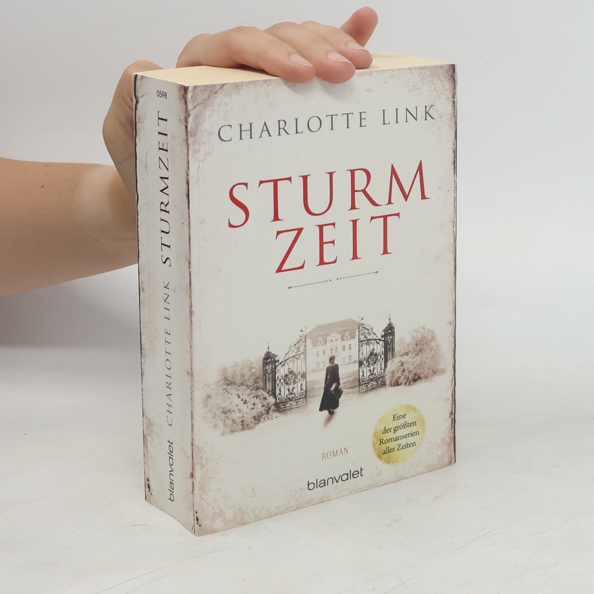 Charlotte Link Sturmzeit
