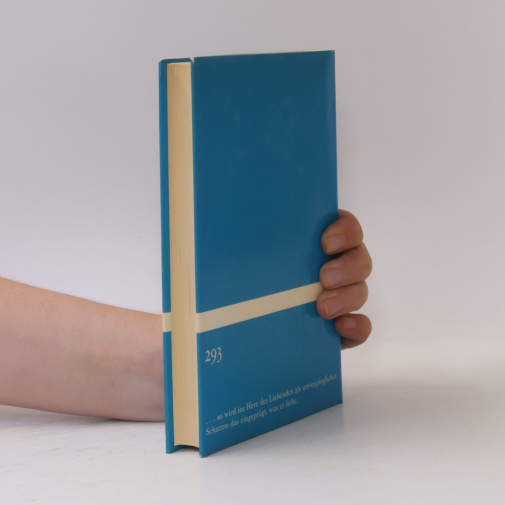 Djuna Barnes Nachtgewächs