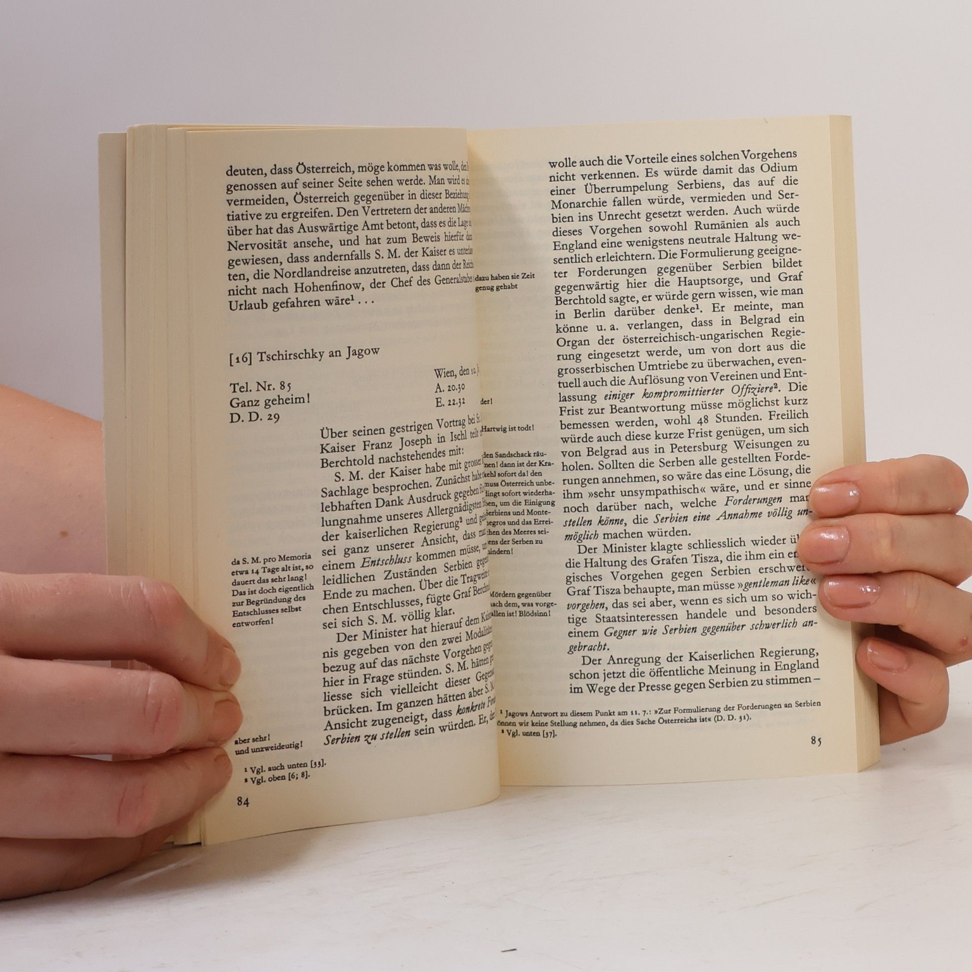 Imanuel Geiss Juli 1914