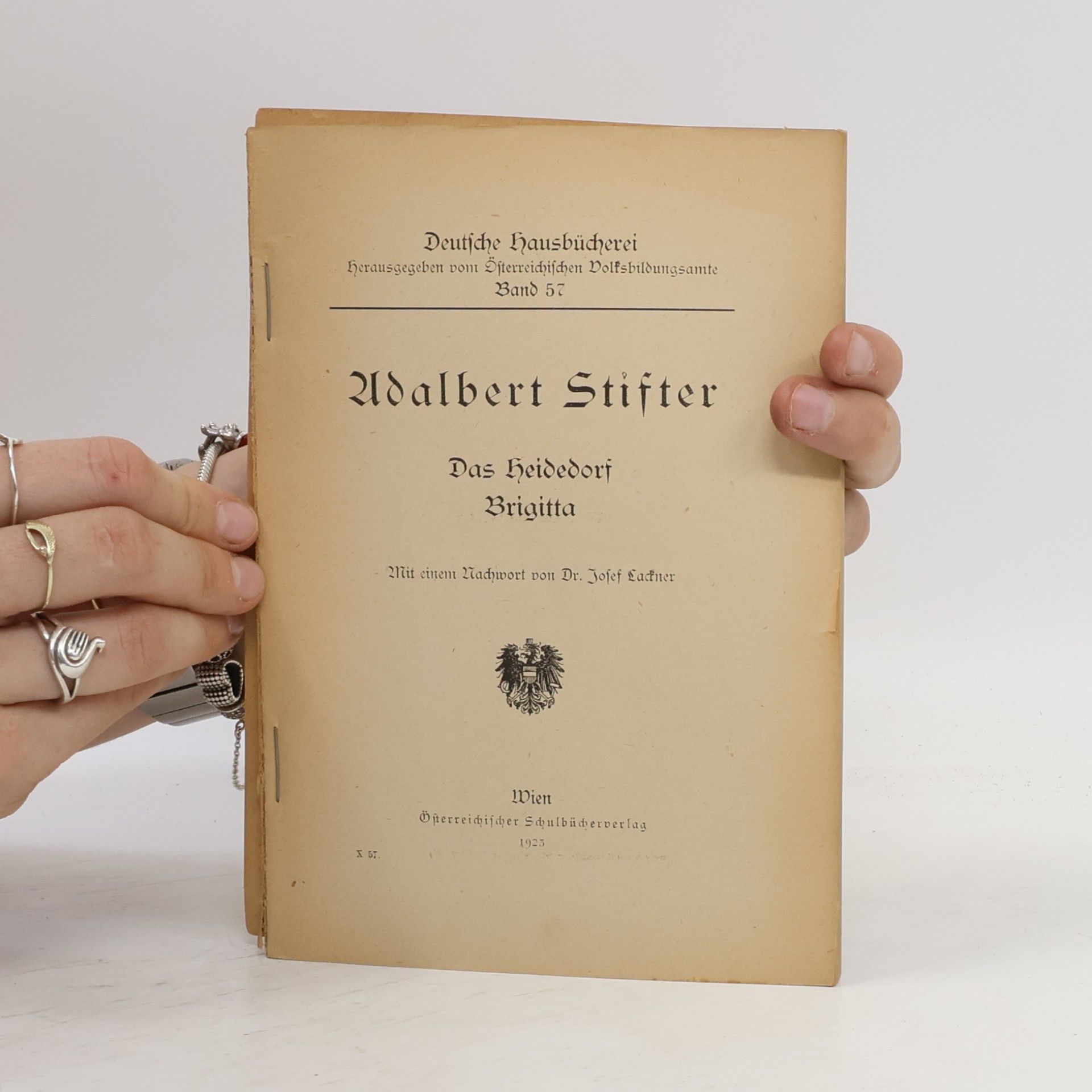 Adalbert Stifter Das heidedorf Brigitta