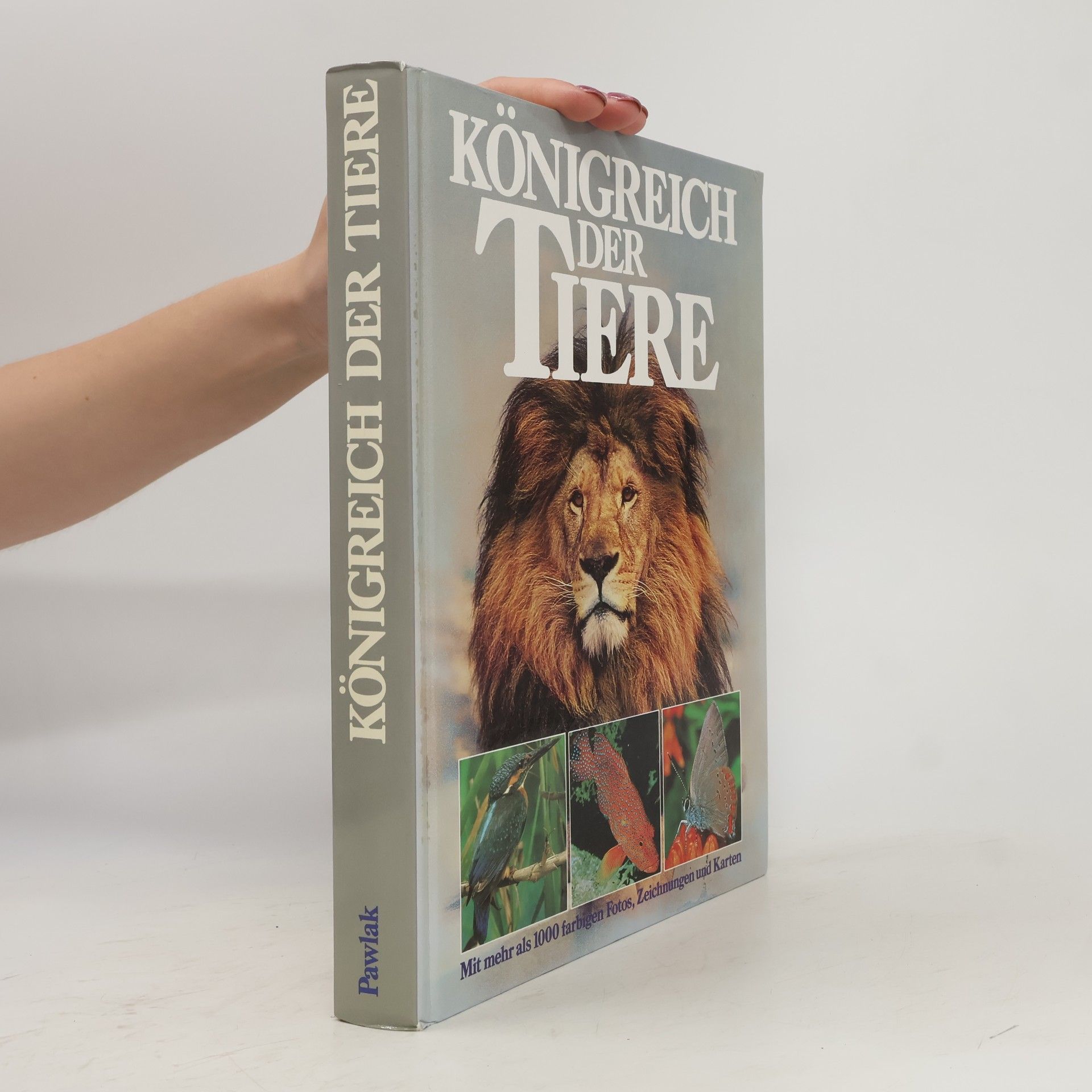 Maurice Burton Königreich der Tiere