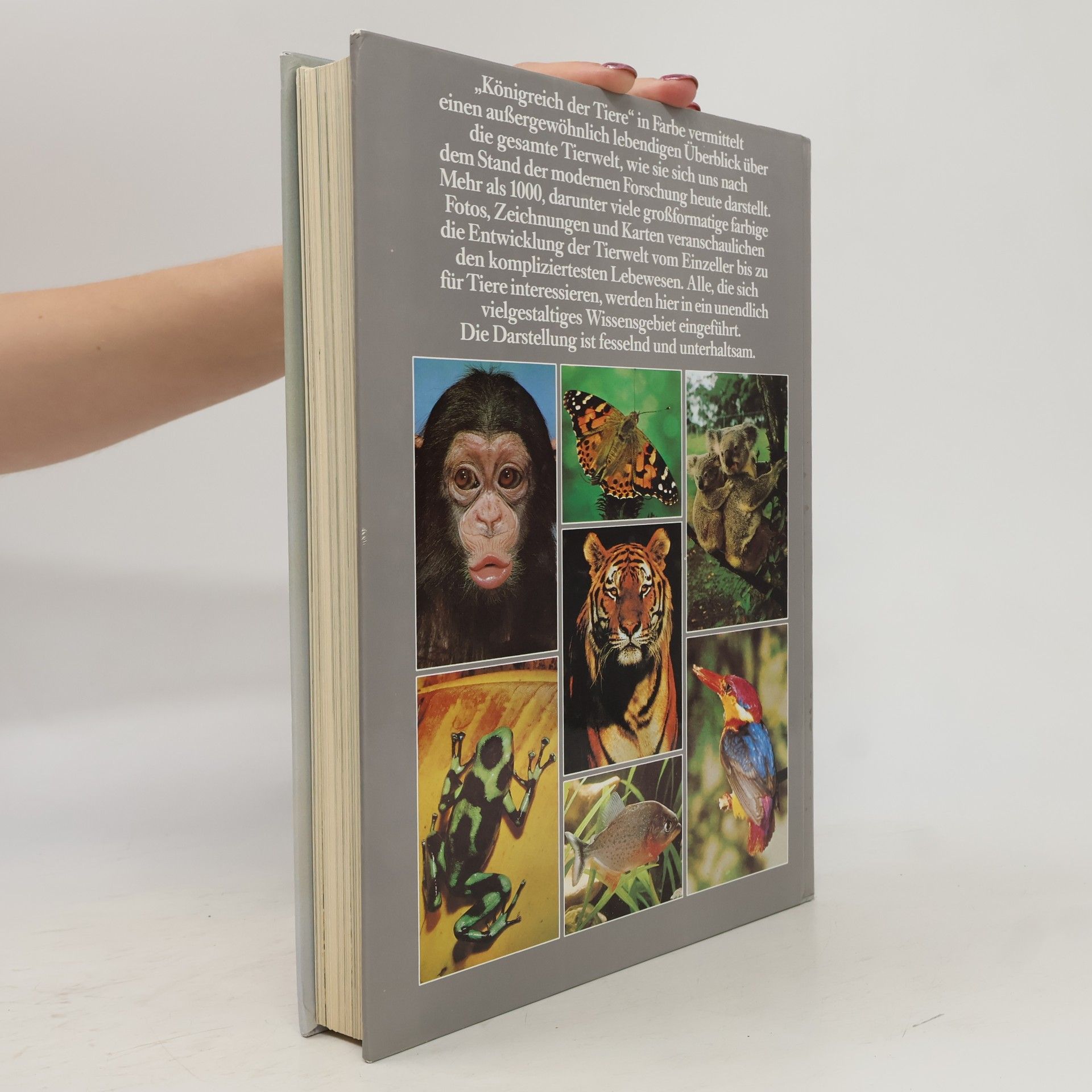 Maurice Burton Königreich der Tiere