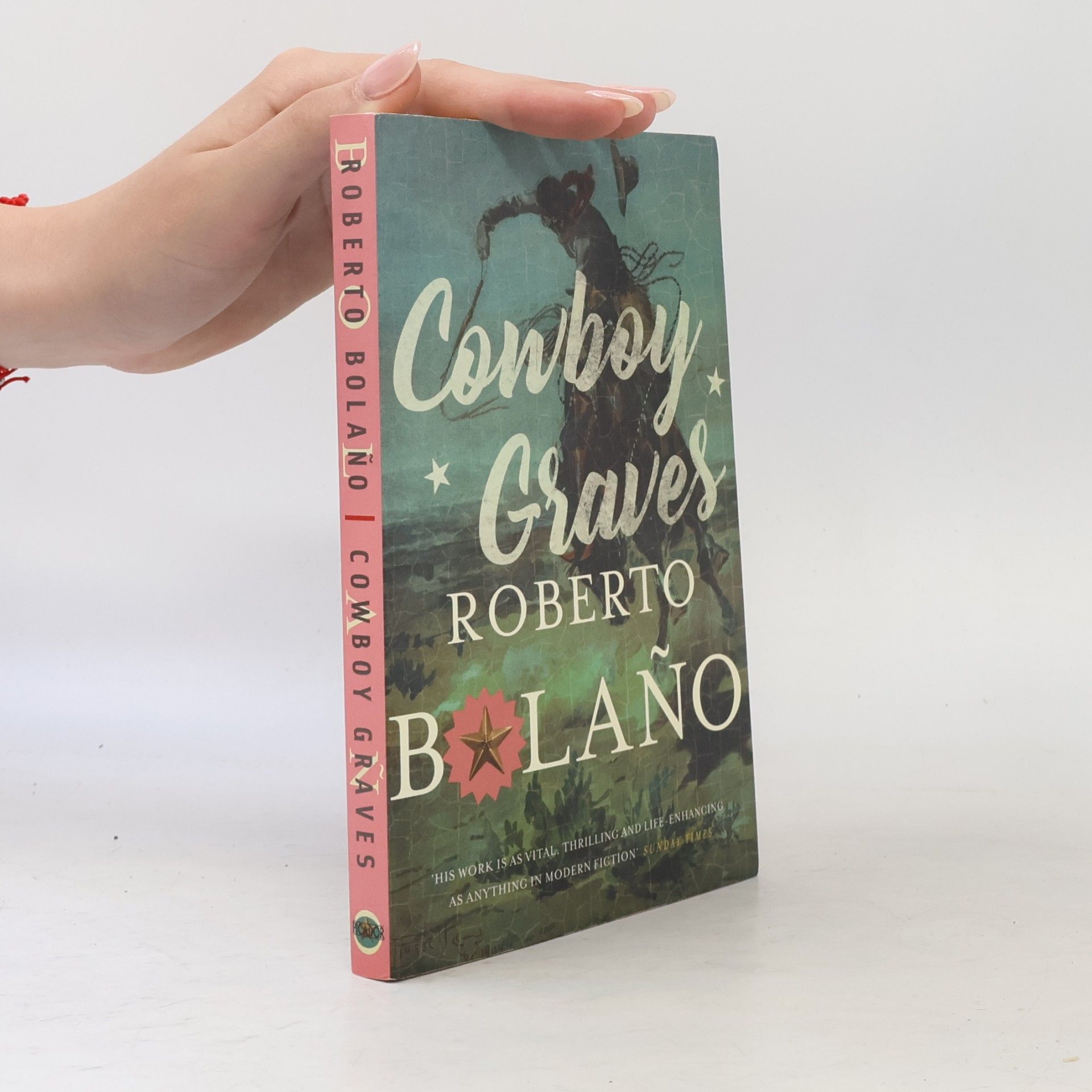 Roberto Bolaño Cowboy Graves