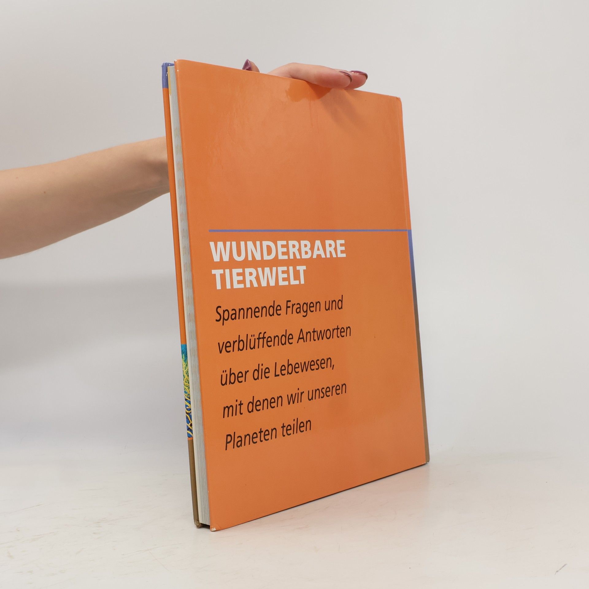 Kolektív autorov Wunderbare Tierwelt