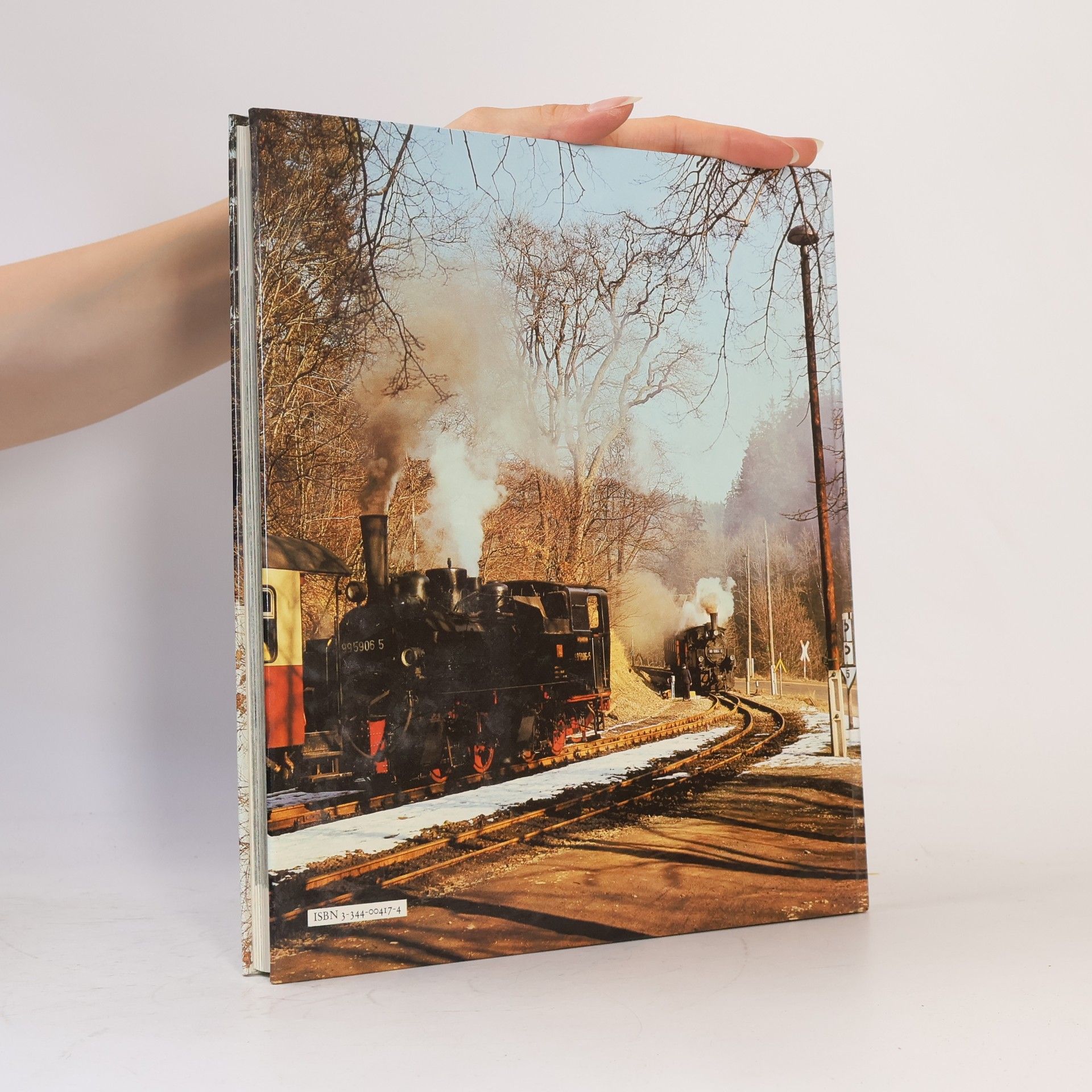 Günther Feuereissen Reisen mit der Schmalspurbahn