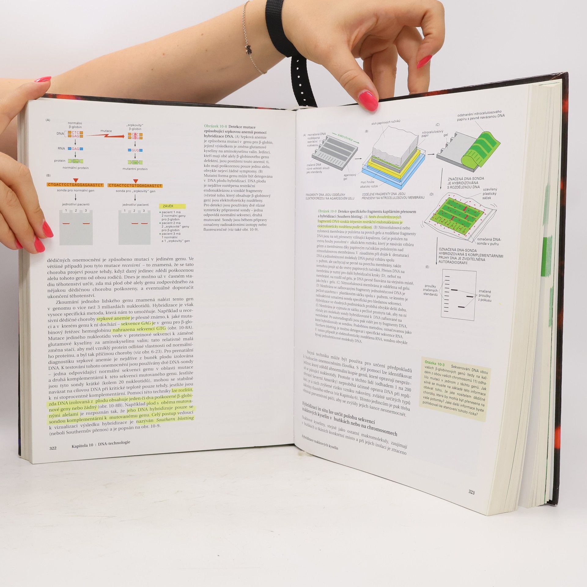 Bruce Alberts Základy buněčné biologie. Úvod do molekulární biologie buňky