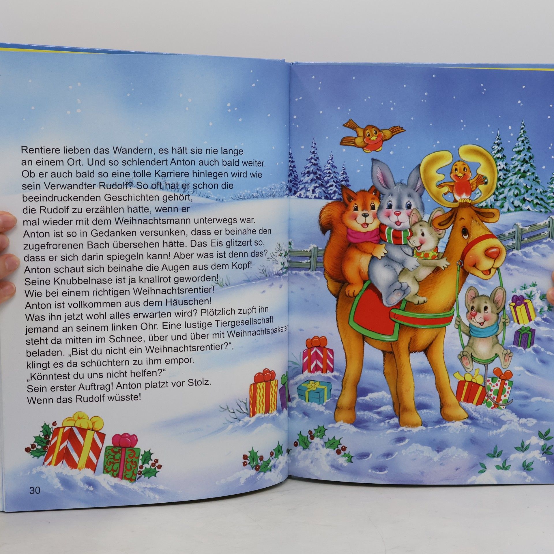Autorenkollektiv Weihnachtsgeschichten