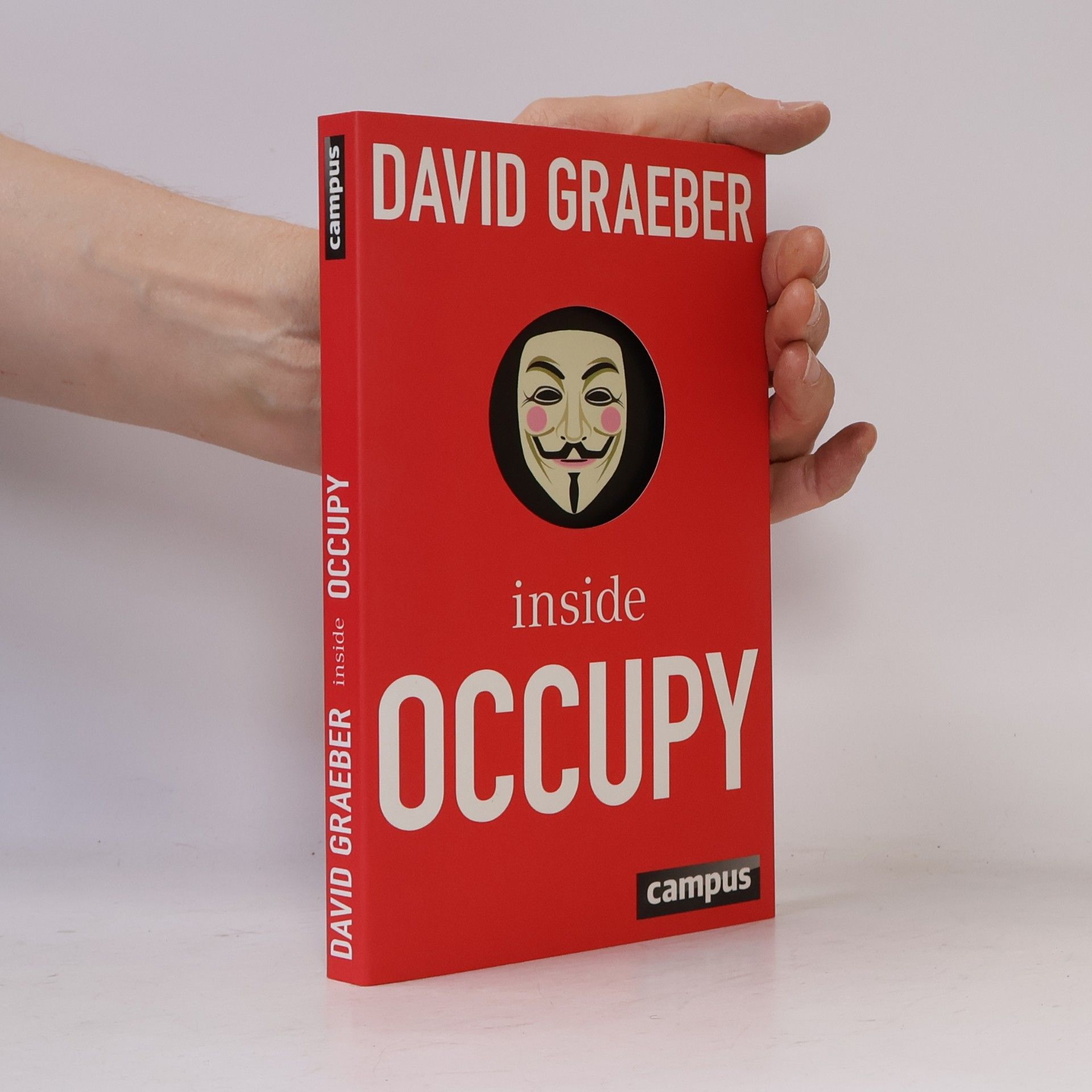 Bernhard Schmid Inside Occupy