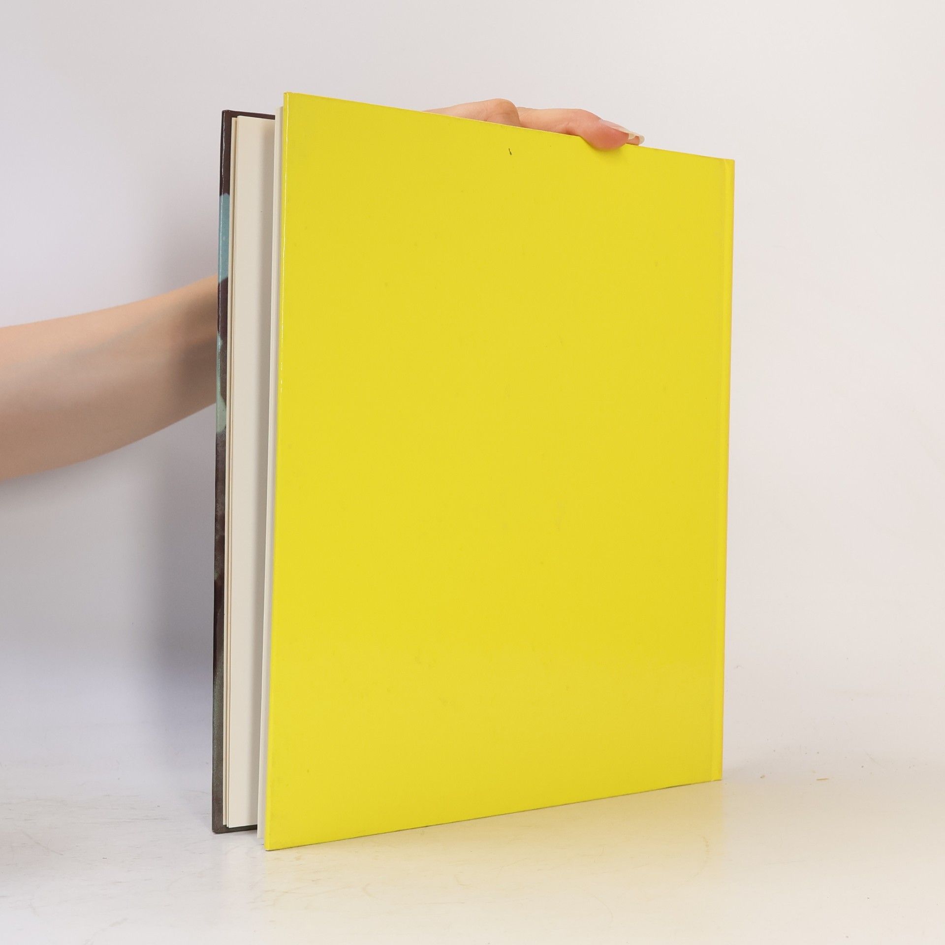 Autorenkollektiv Flieger Jahrbuch 85/86