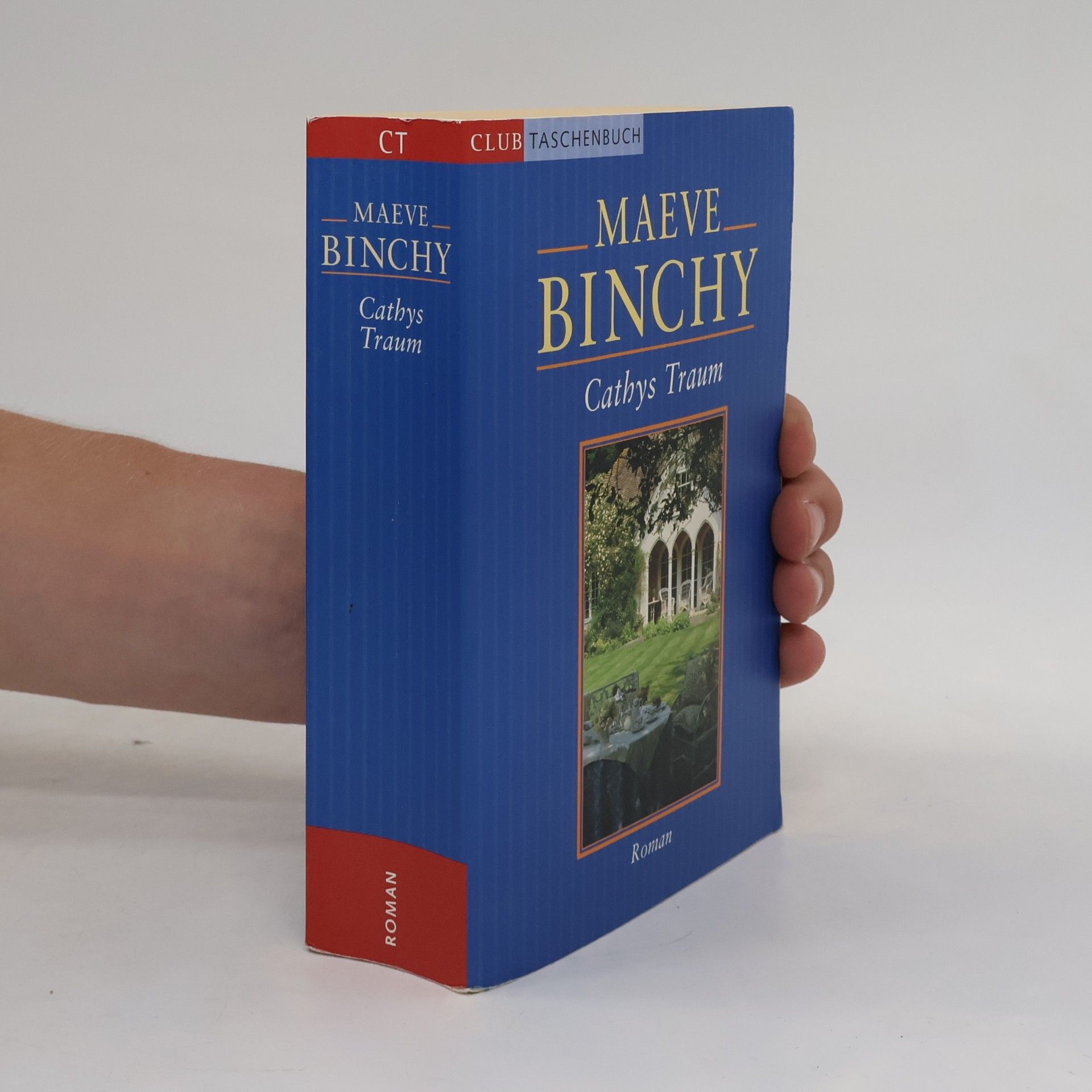 Maeve Binchy Cathys Traum