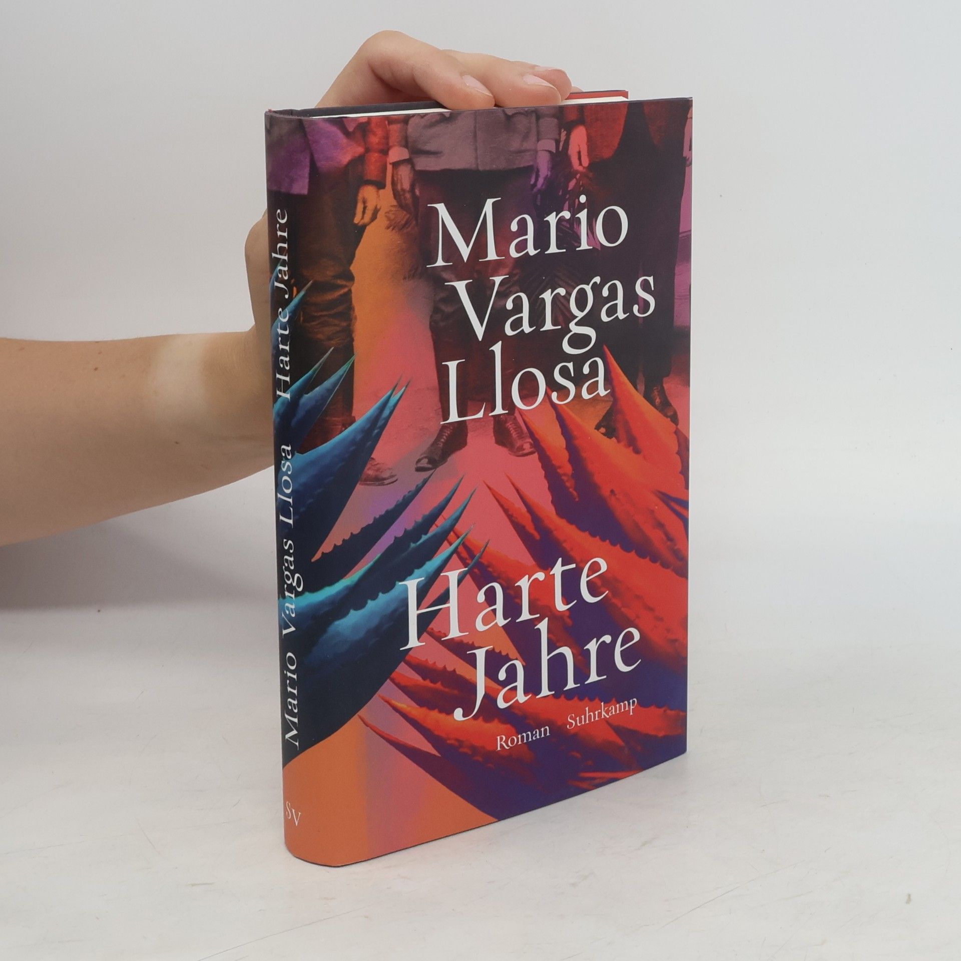 Mario Vargas Llosa Harte Jahre