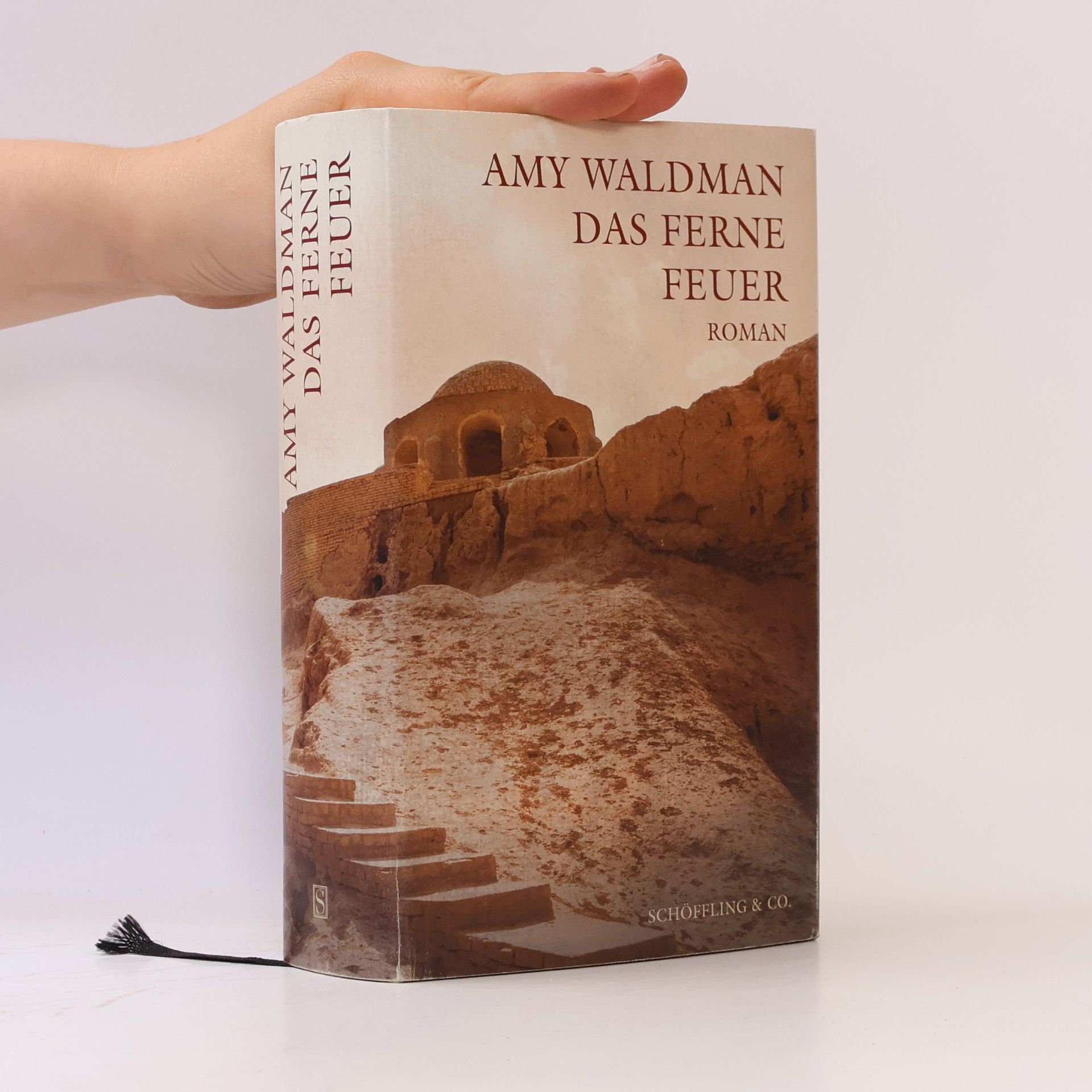 Amy Waldman Das ferne Feuer