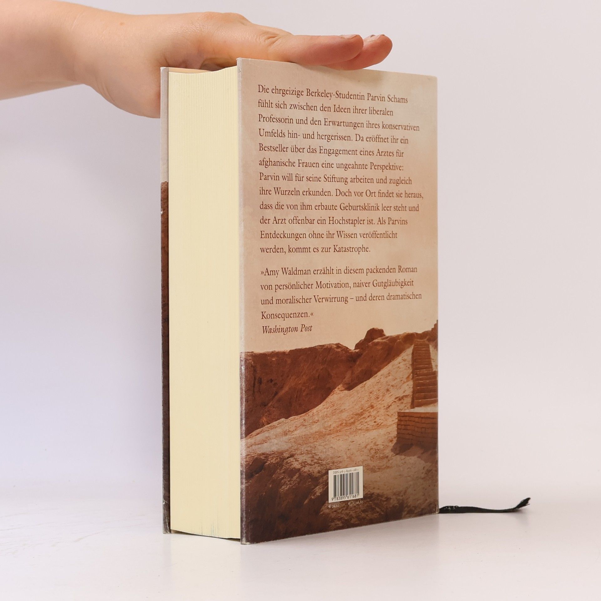 Amy Waldman Das ferne Feuer