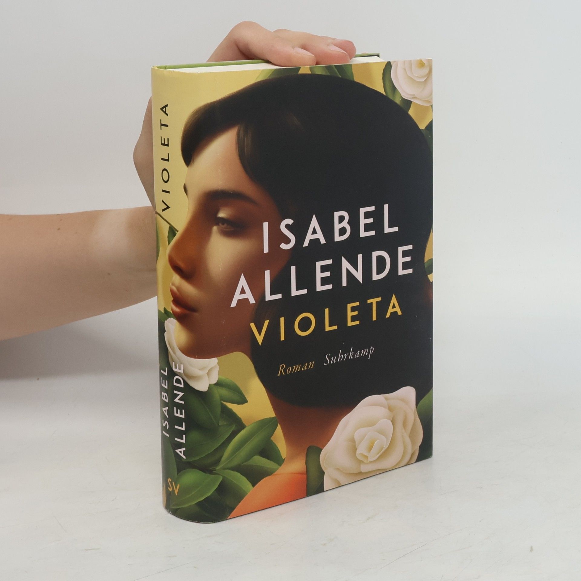 Isabel Allende Llona Violeta
