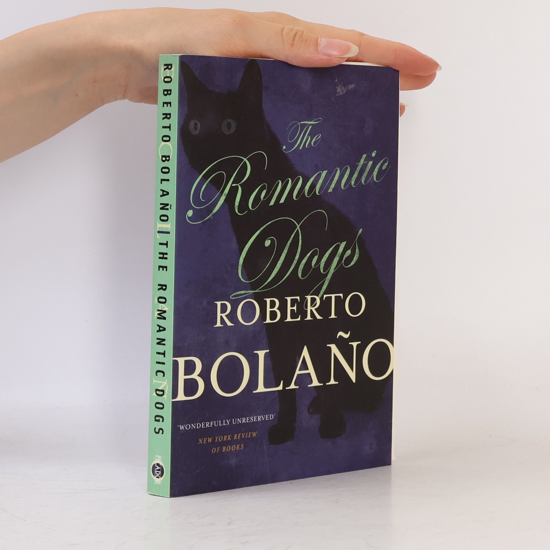 Roberto Bolaňo The Romantic Dogs 19801998