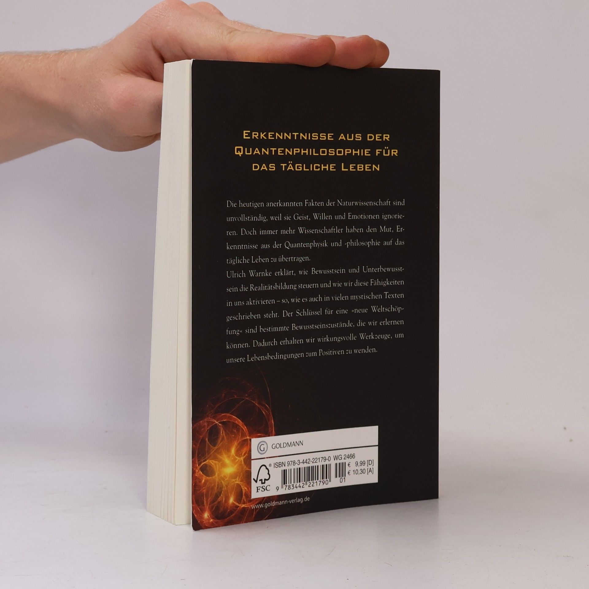 Ulrich Warnke Quantenphilosophie und Spiritualität