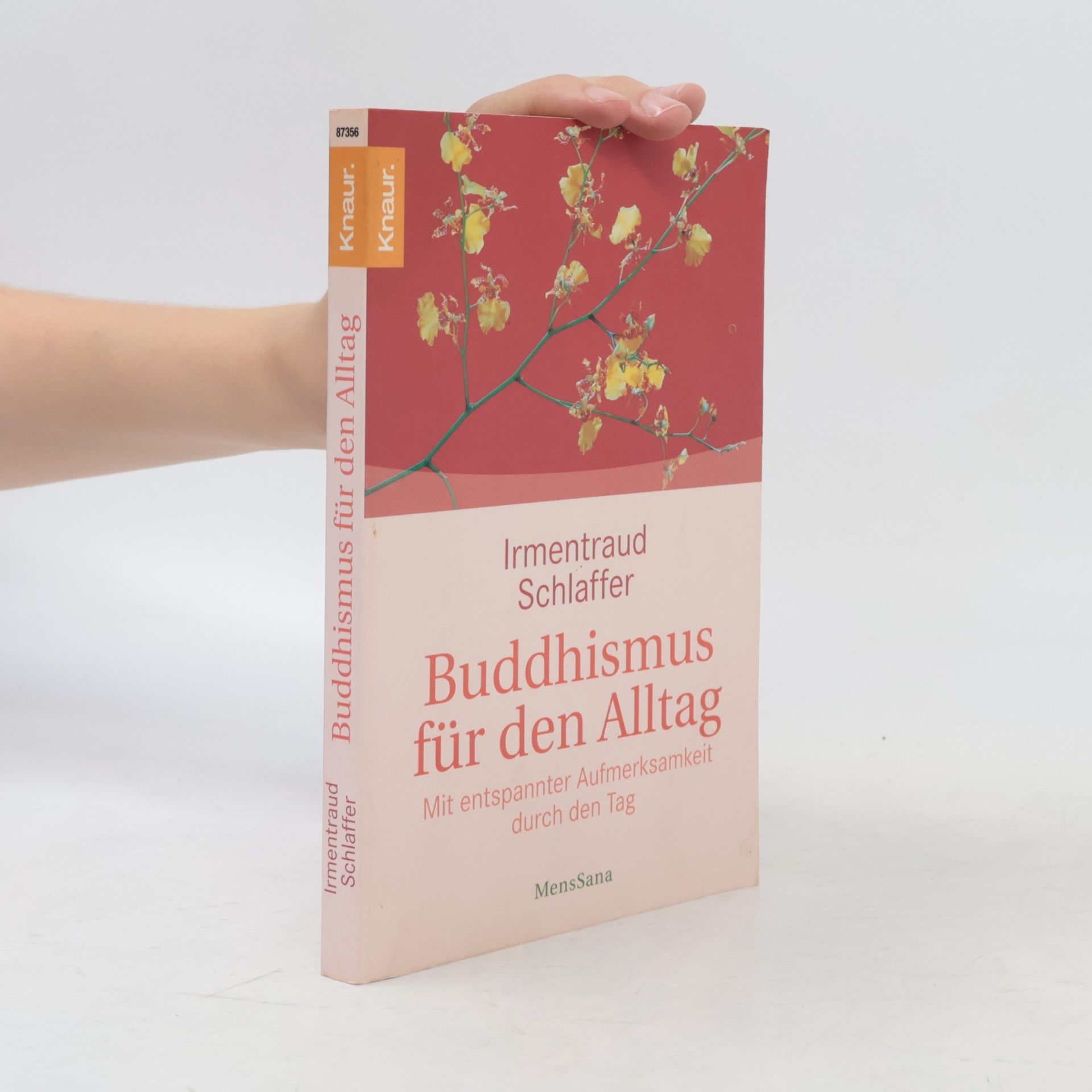 Irmentraud Schlaffer Buddhismus für den Alltag