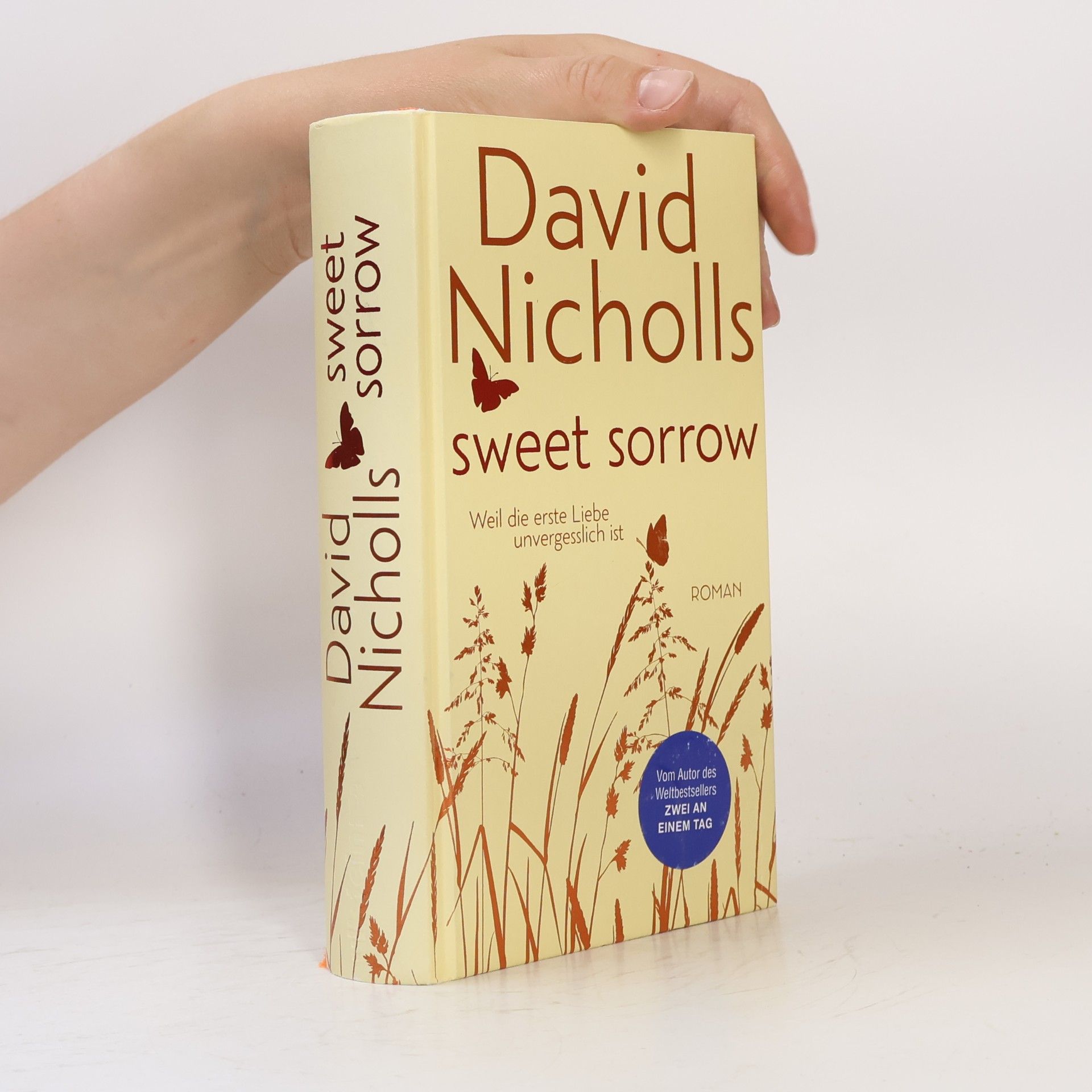 David Nicholls Sweet Sorrow