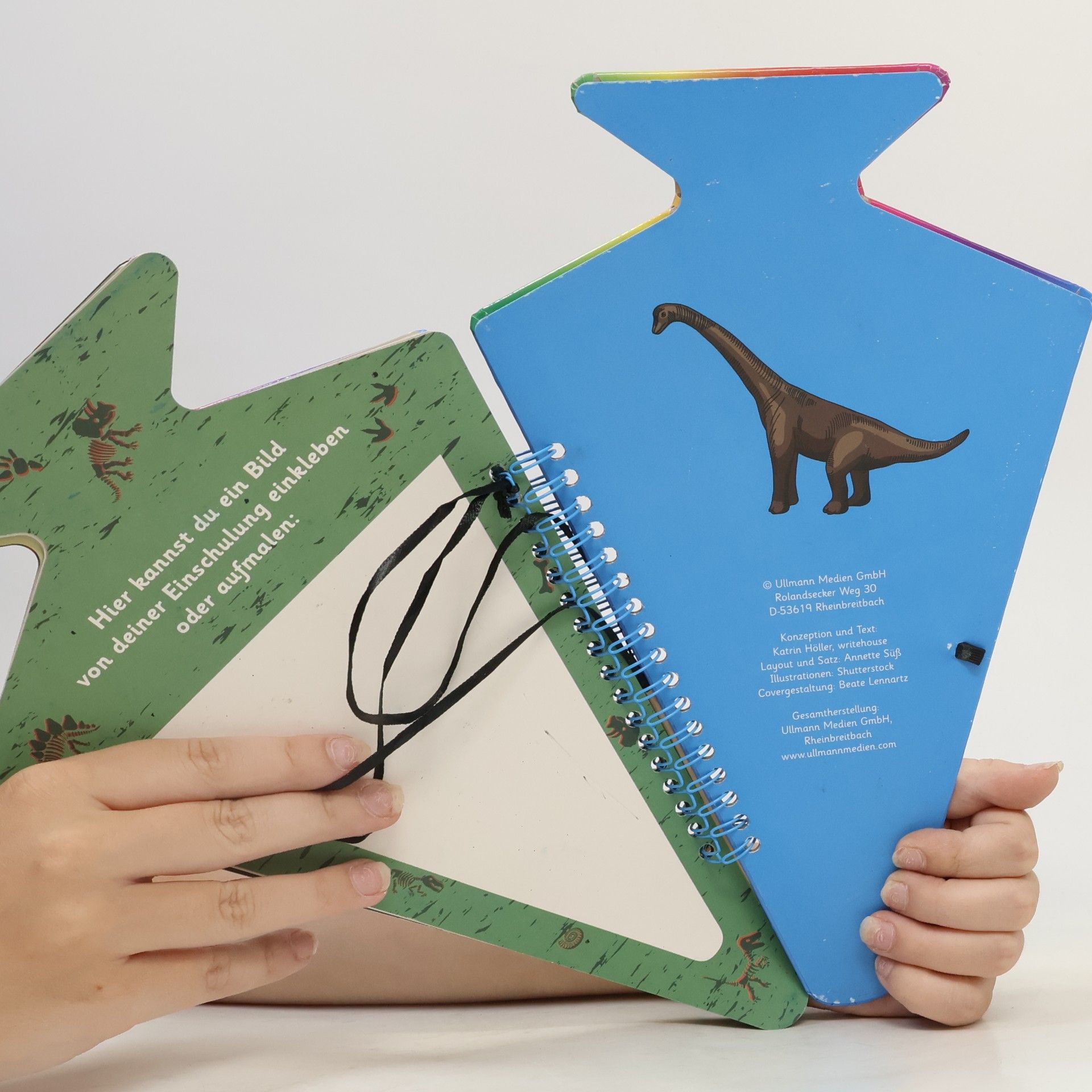 Katrin Höller Dinosaurier
