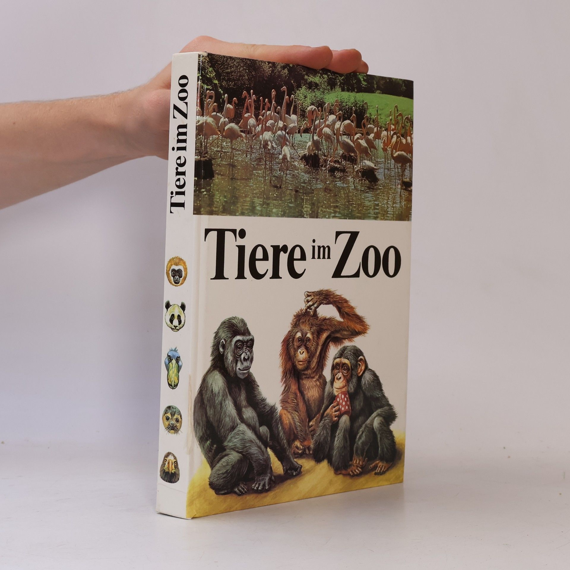 Tiere im Zoo