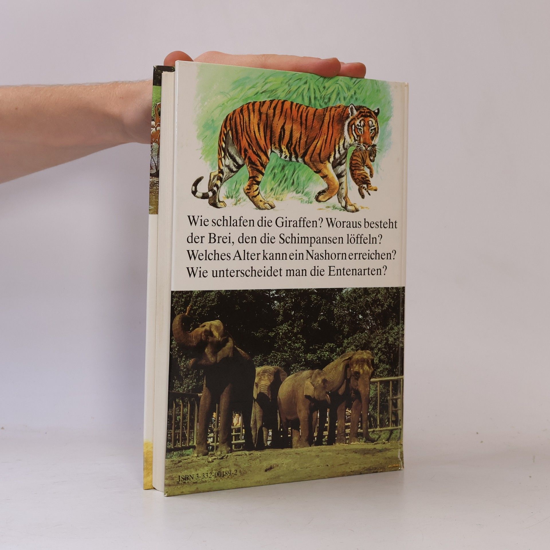 Manfred Burg Tiere im Zoo