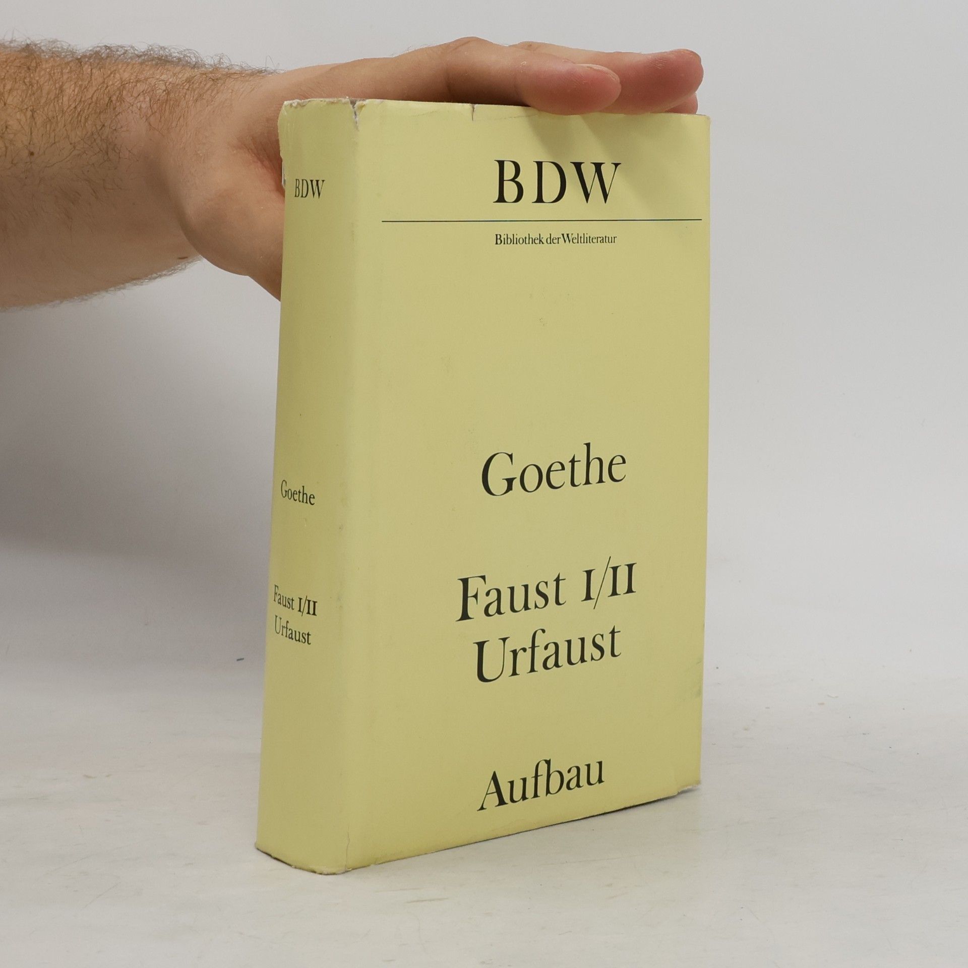 Johann Wolfgang von Goethe Faust I/II Urfaust