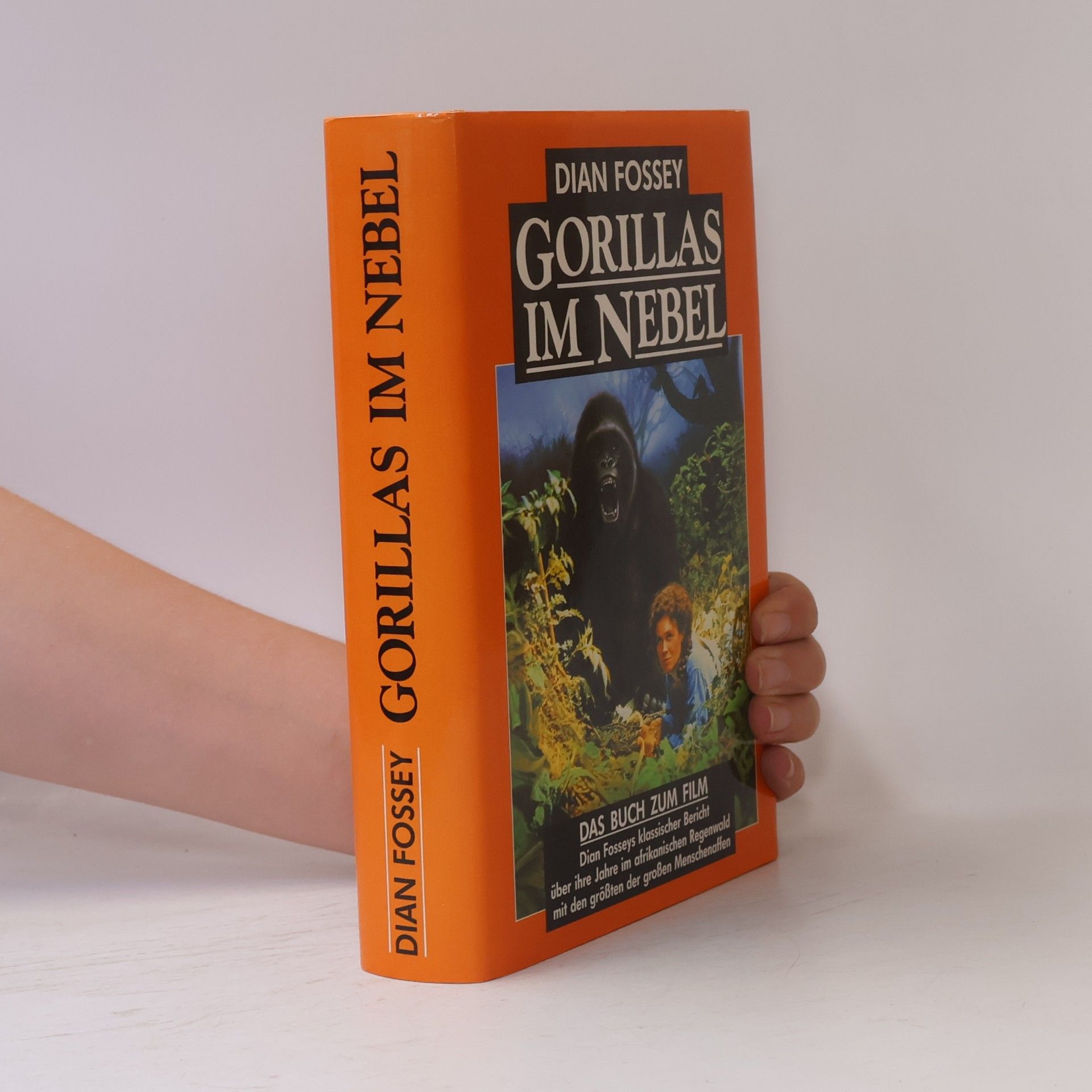 Dian Fossey Gorillas im Nebel