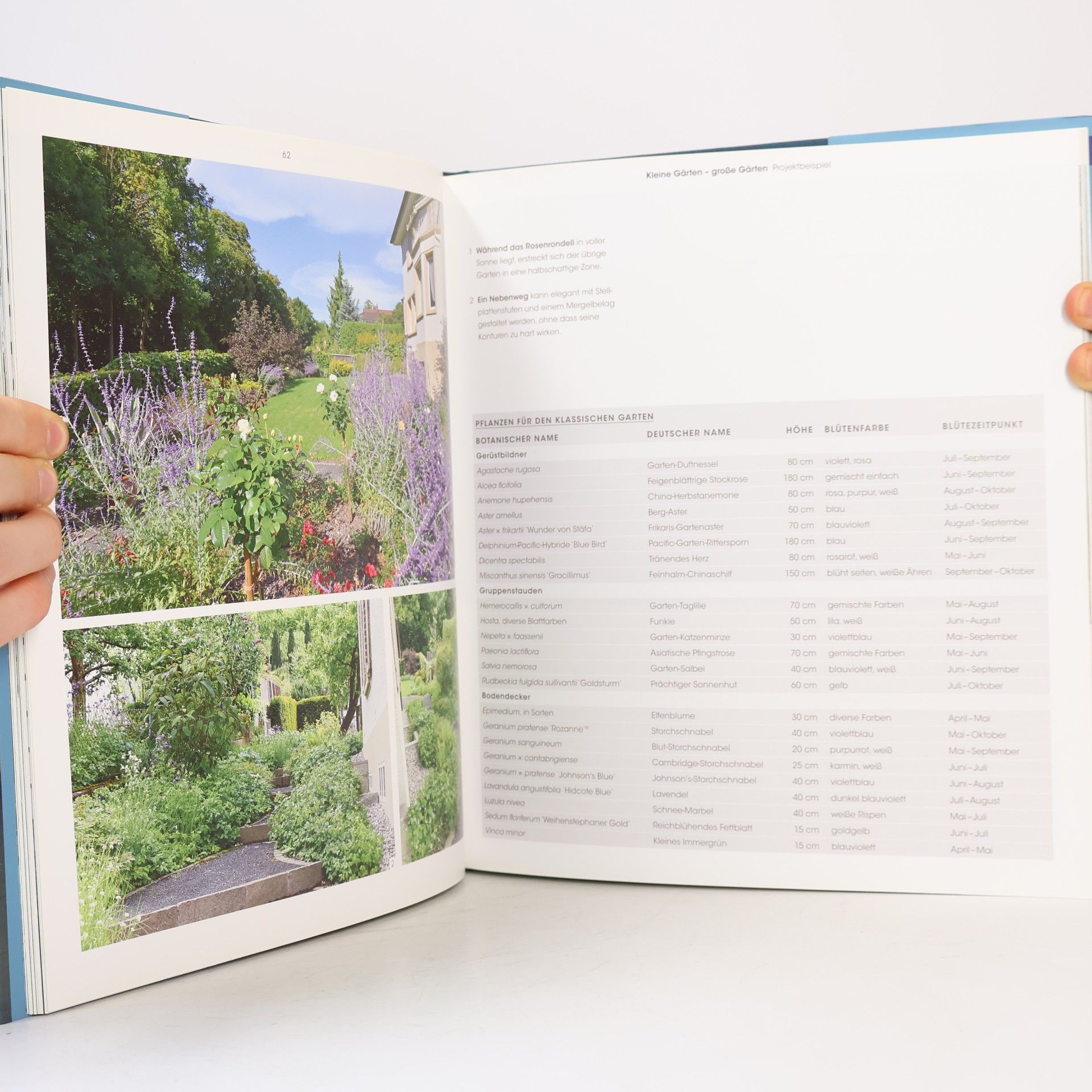 Alain Diebold Gartensituationen