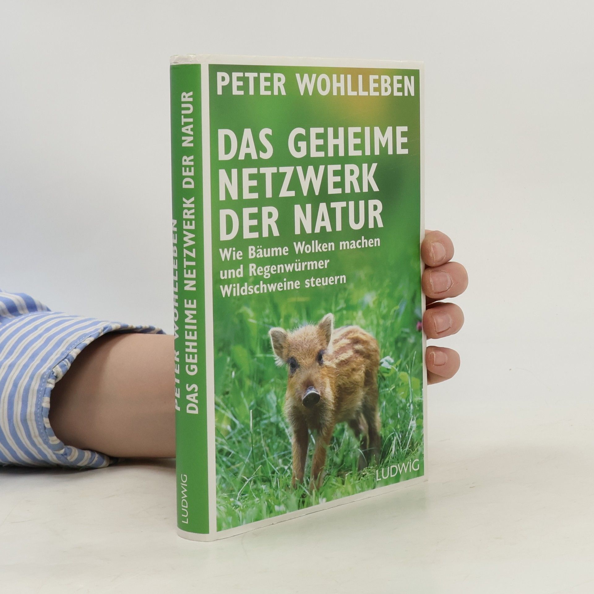 Das geheime Netzwerk der Natur