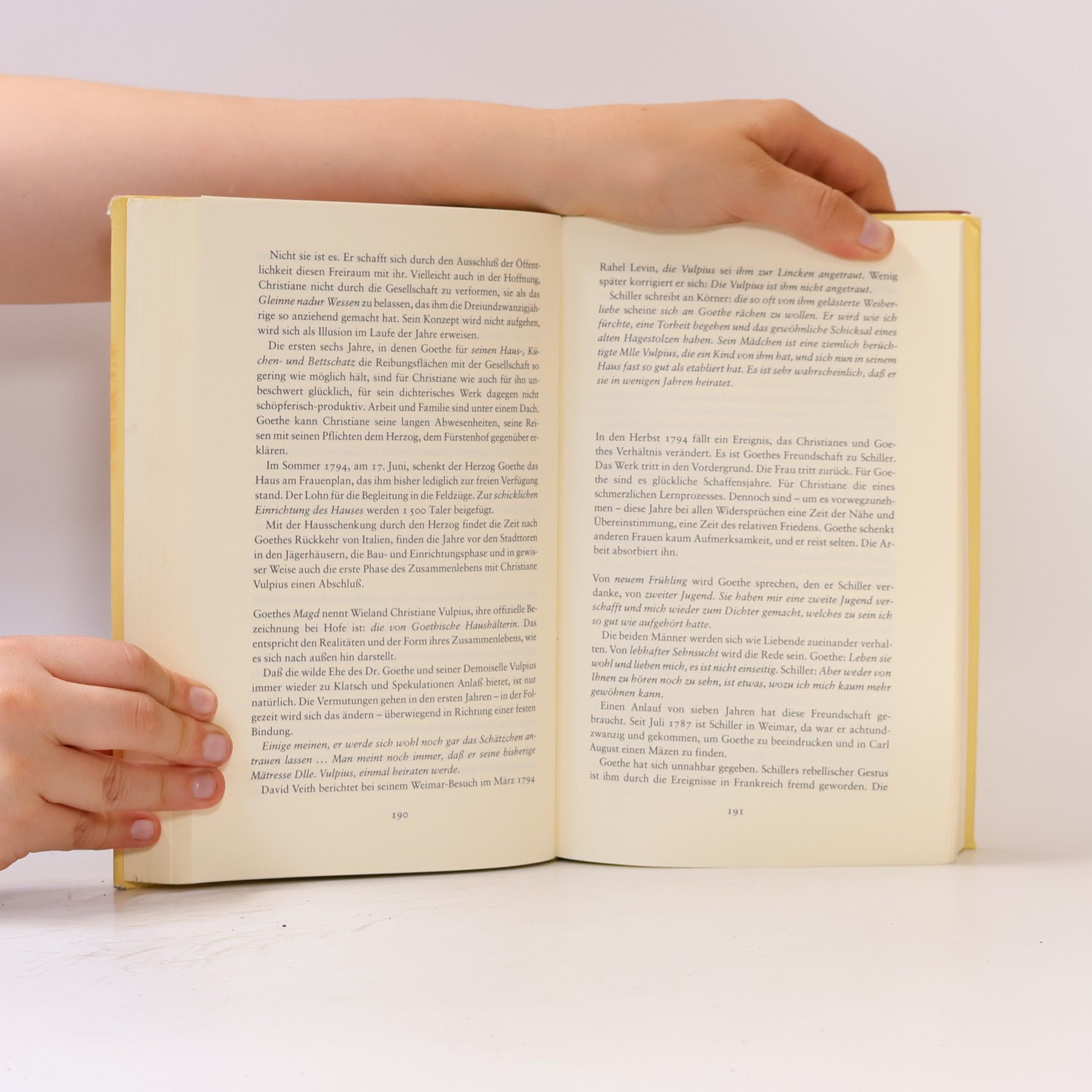 Sigrid Damm Christiane und Goethe
