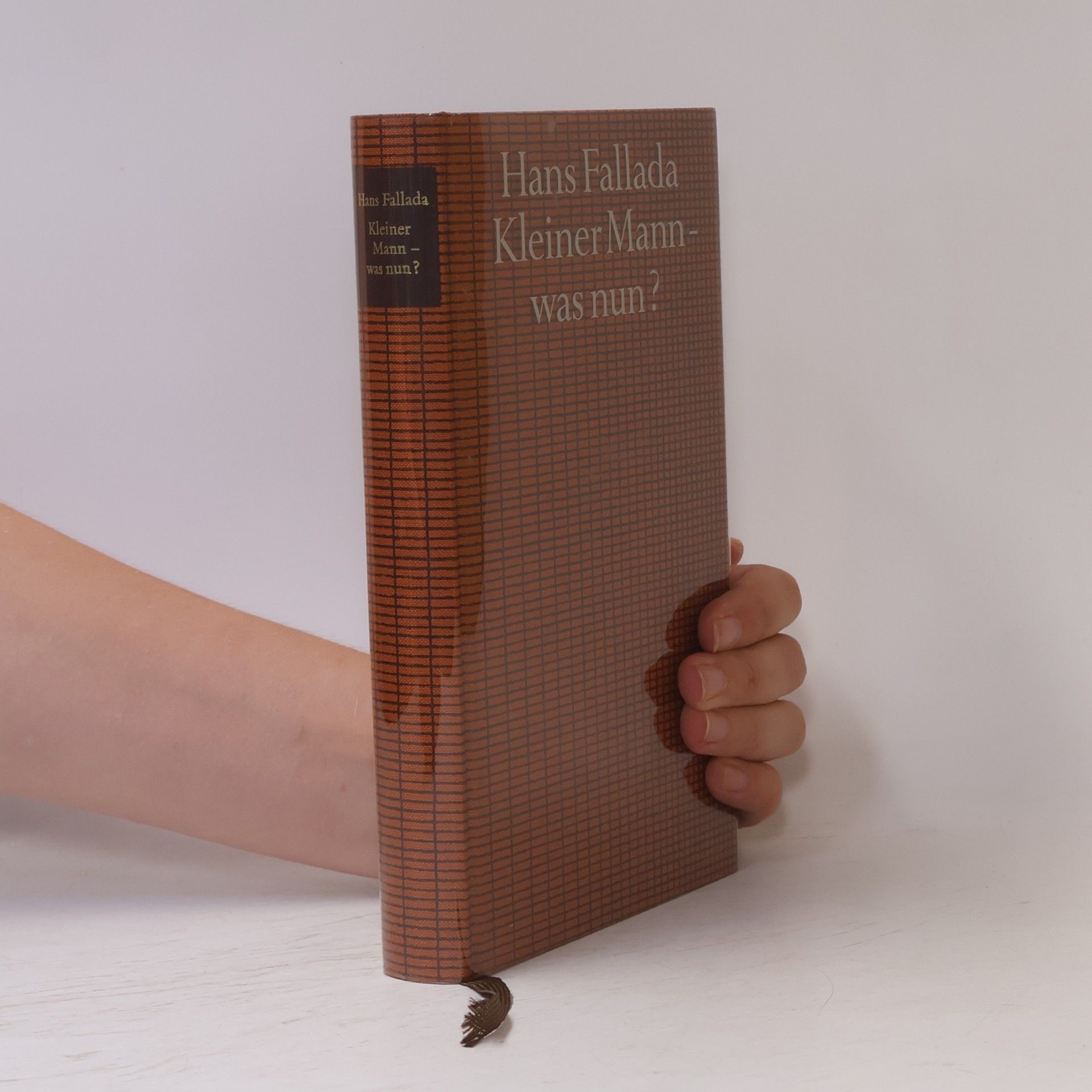 Hans Fallada Kleiner Mann - was nun?