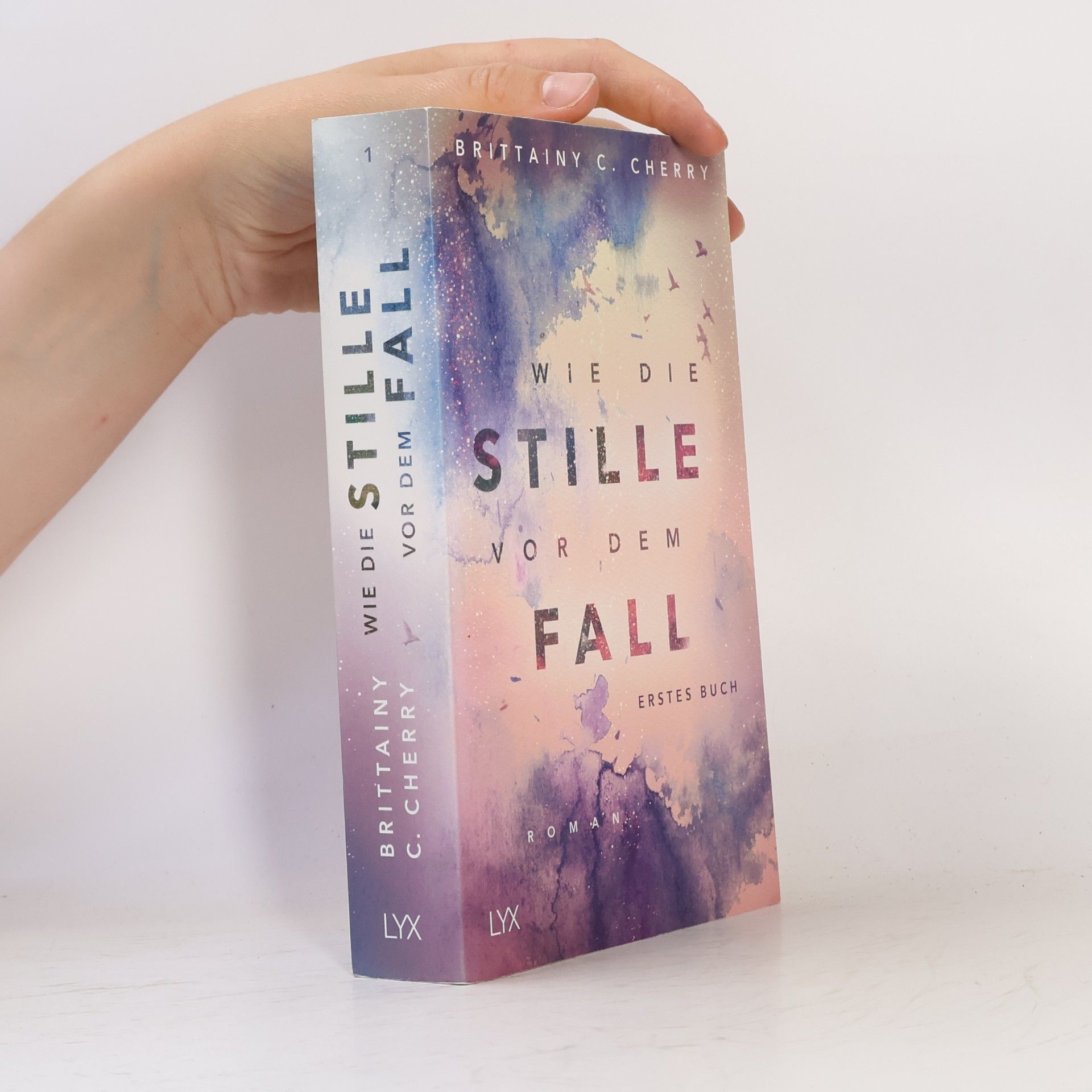 Brittainy C. Cherry Wie die Stille vor dem Fall