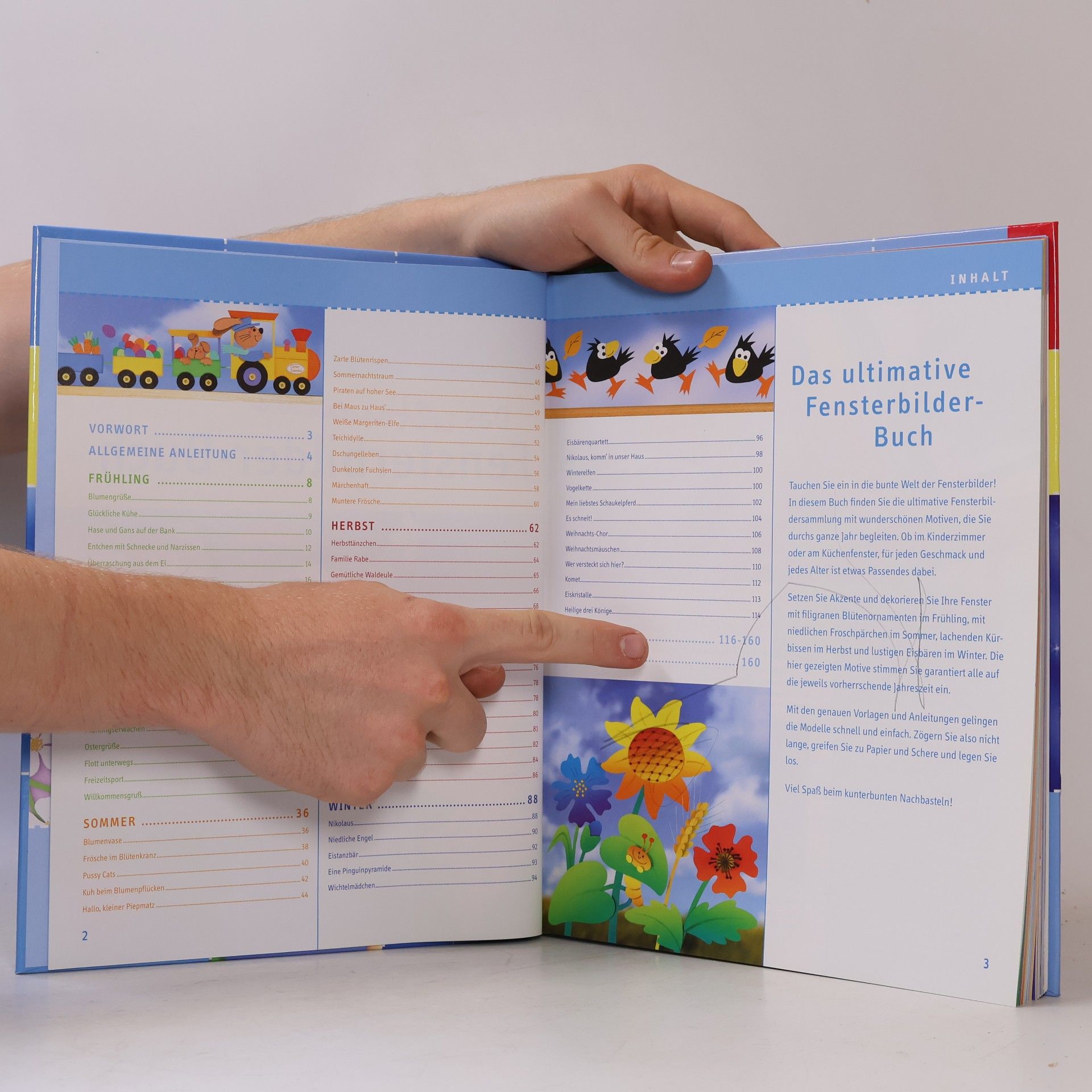 Das ultimative Fensterbilder-Buch