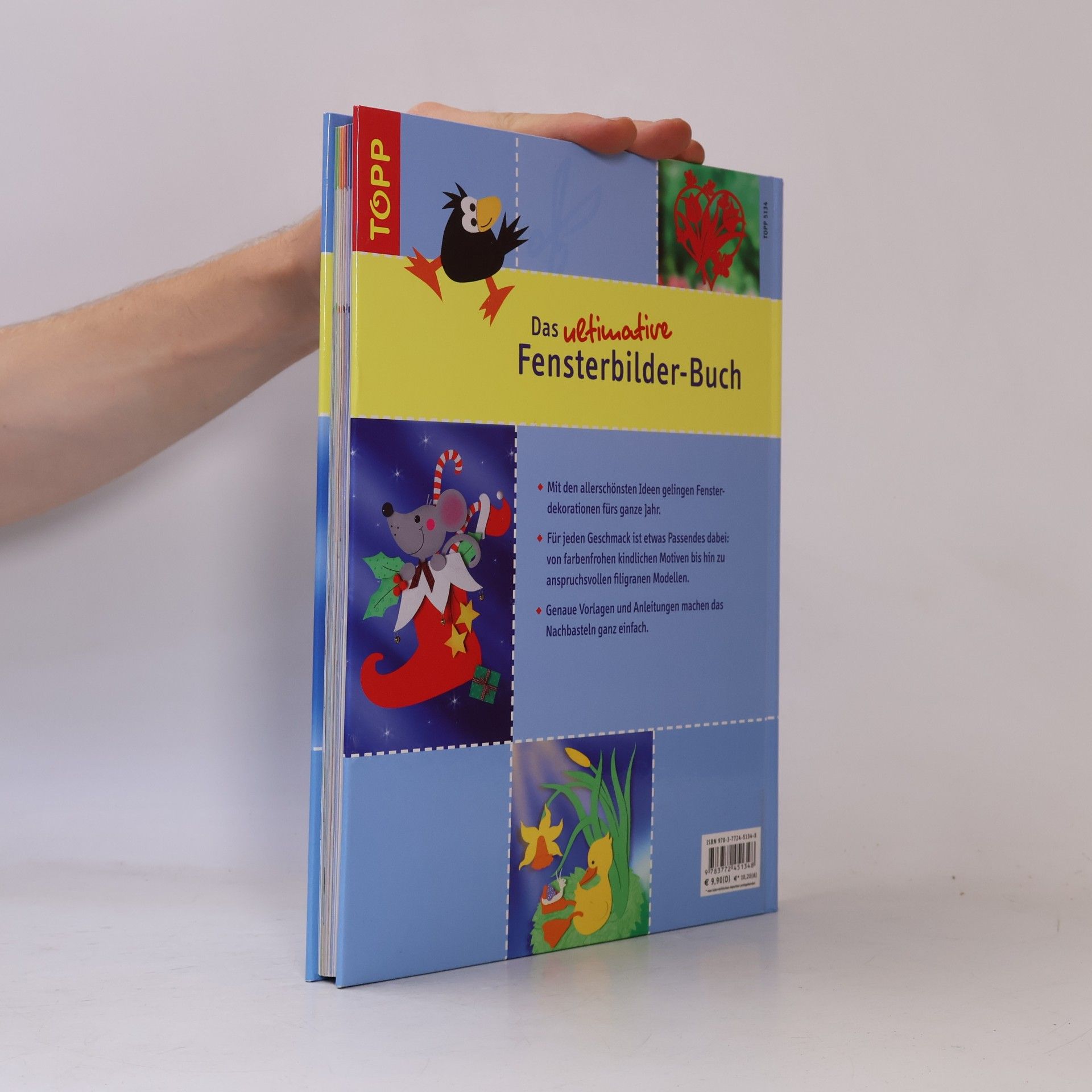 Das ultimative Fensterbilder-Buch