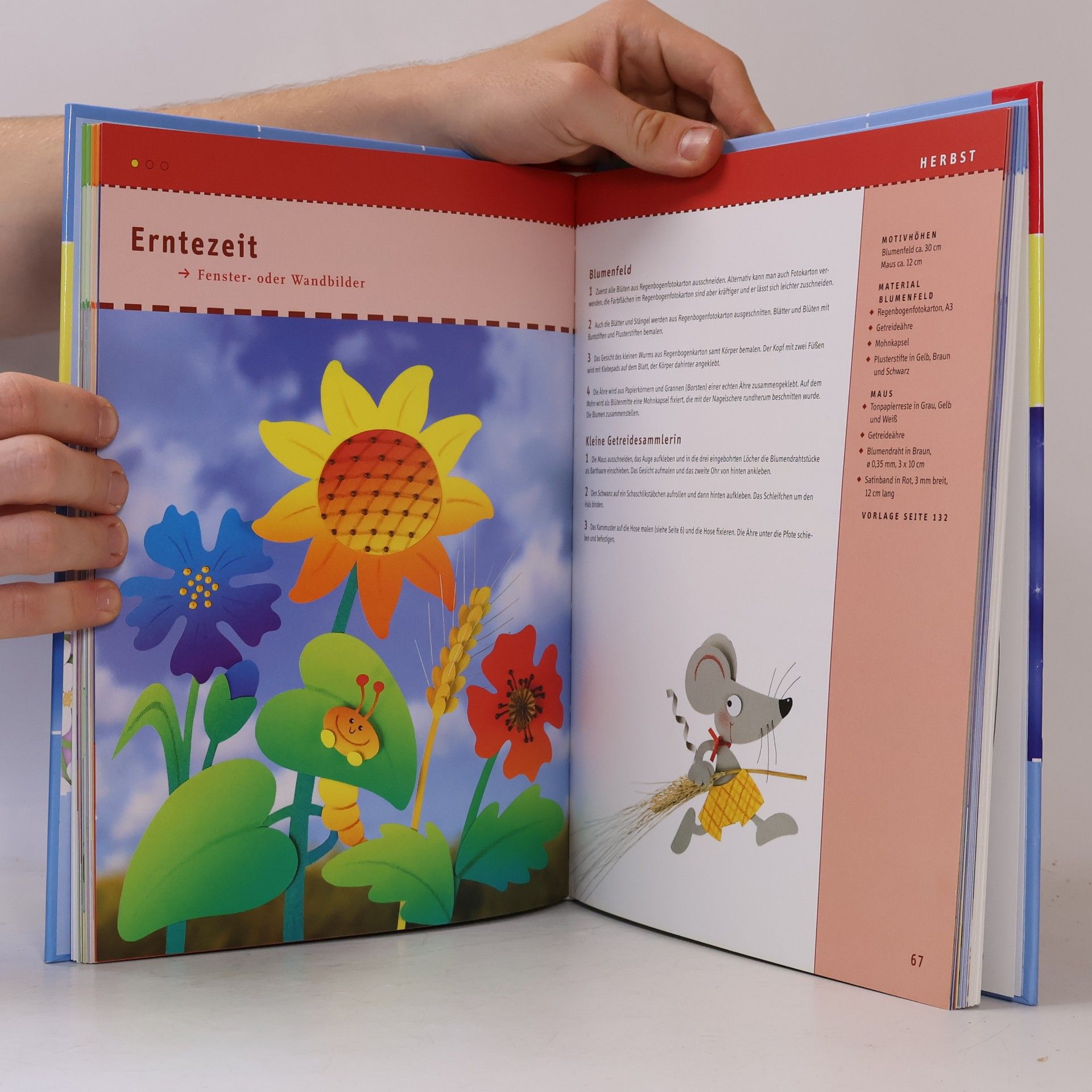 Das ultimative Fensterbilder-Buch