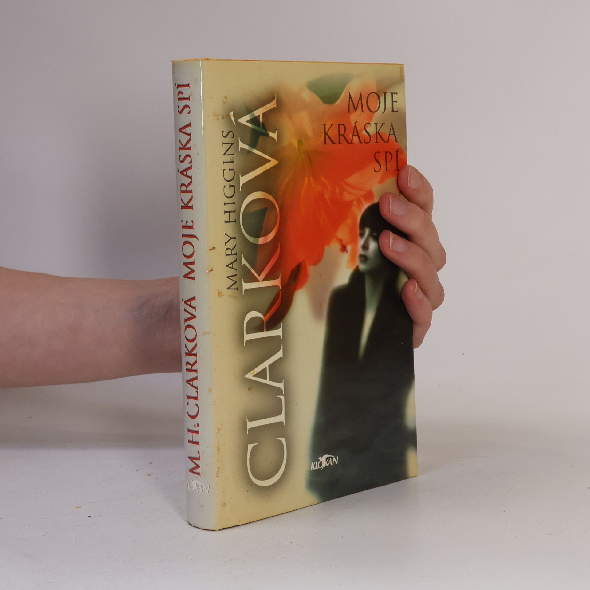 Mary Higgins Clark Moje kráska spí