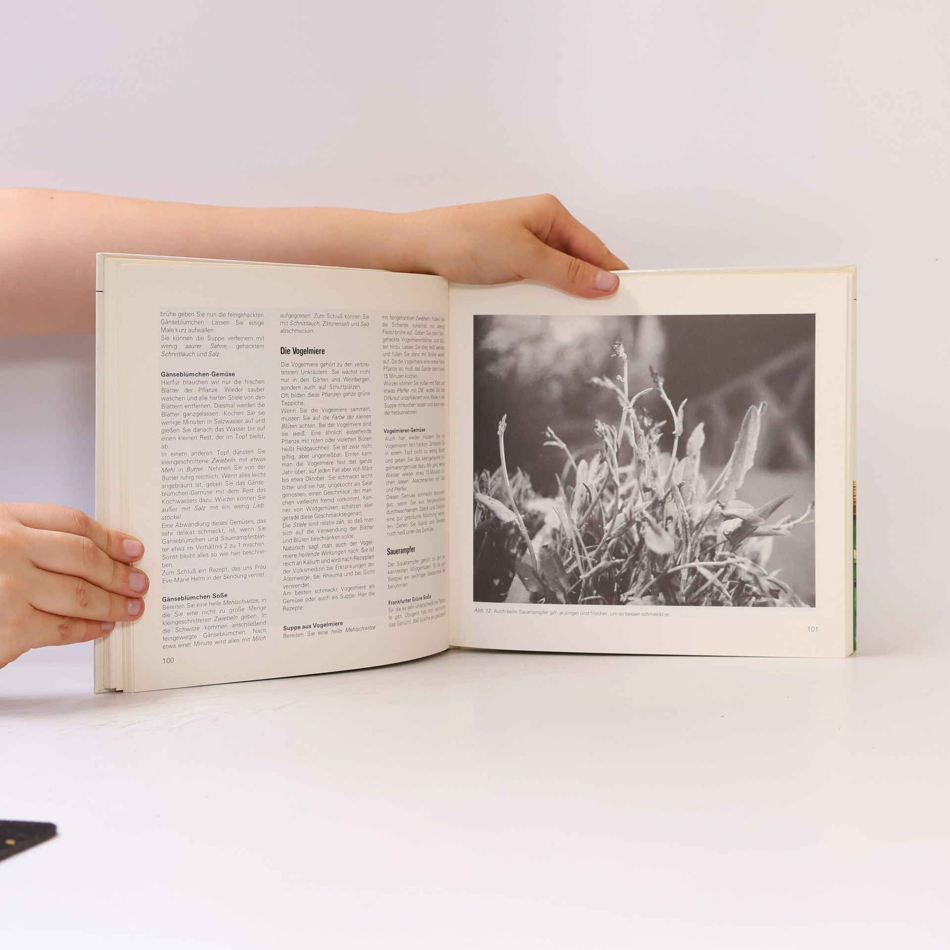 Das große Hobbythek-Buch vom Essen 2