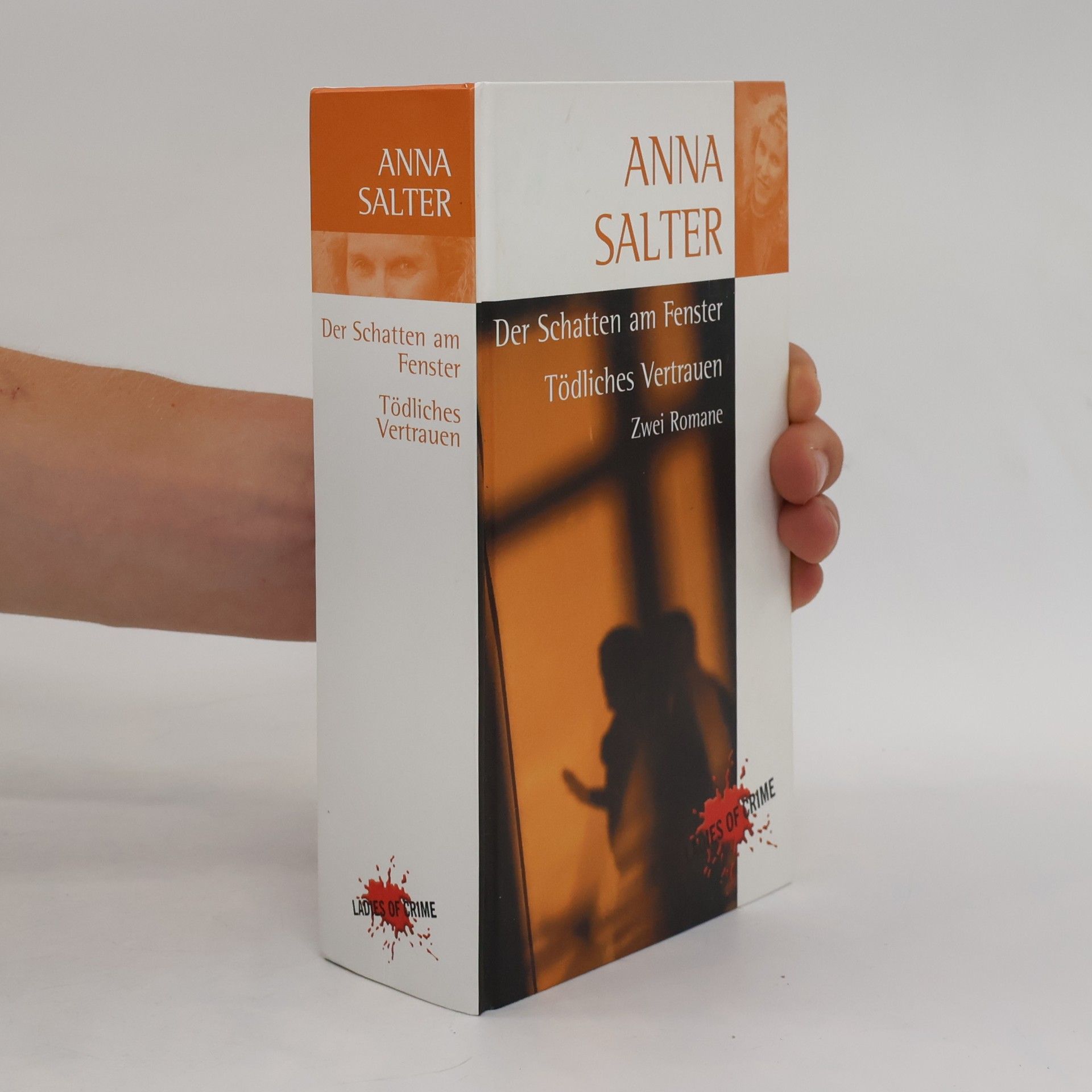 Anna Salter Der Schatten am Fernster. Tödliches Vertrauen