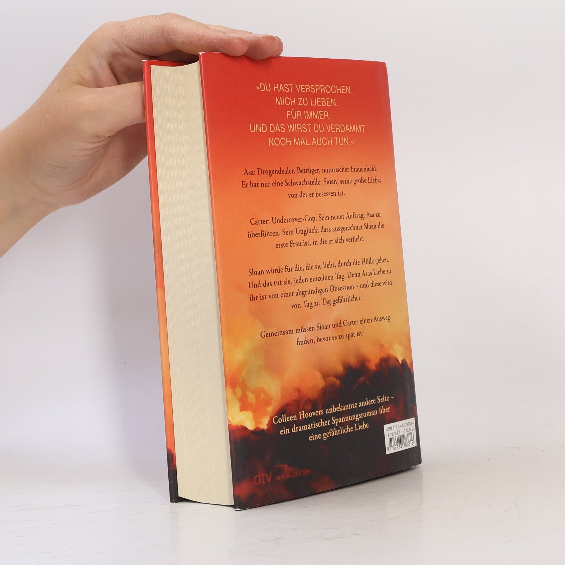 Colleen Hoover Too Late – Wenn Nein sagen zur tödlichen Gefahr wird