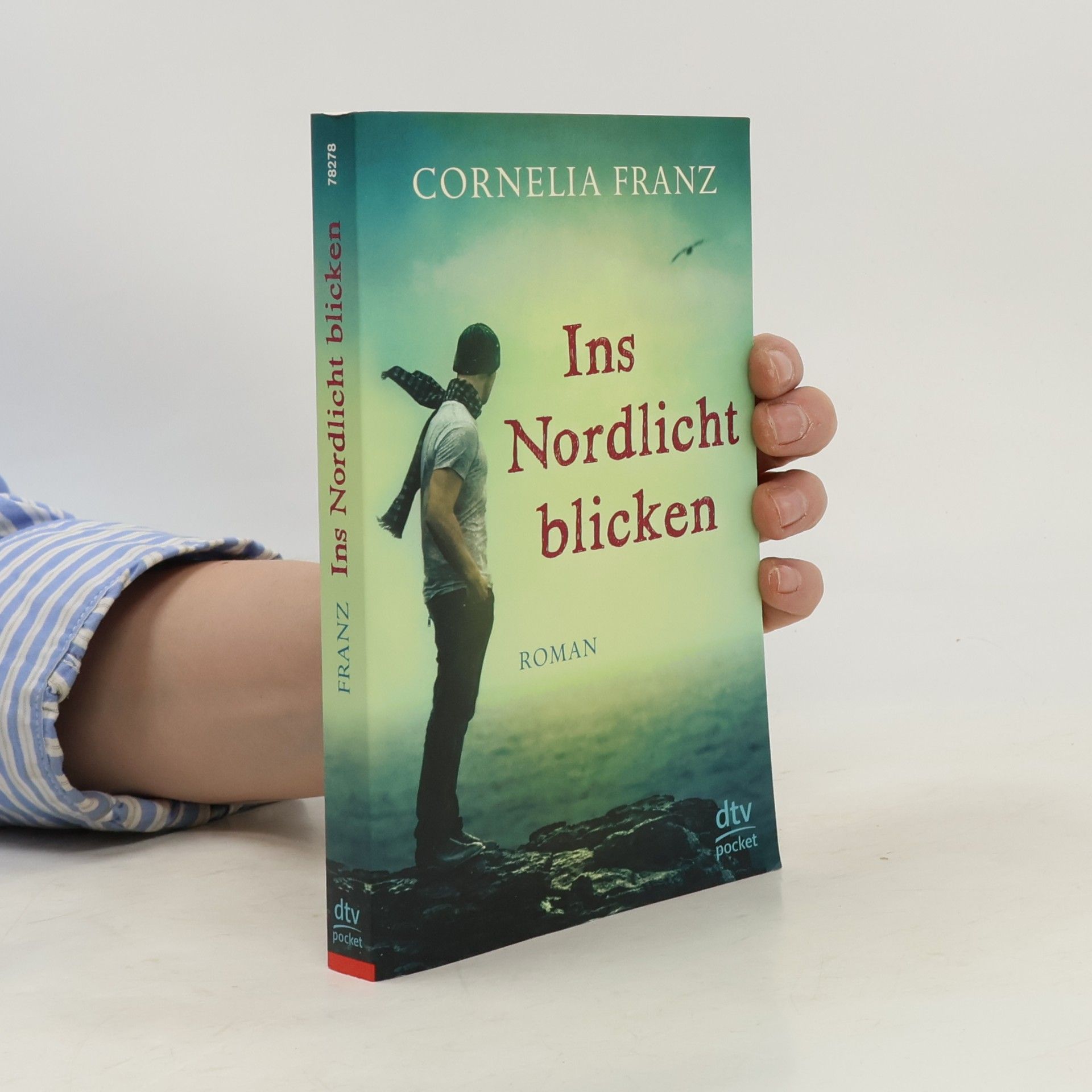 Cornelia Franz Ins Nordlicht blicken