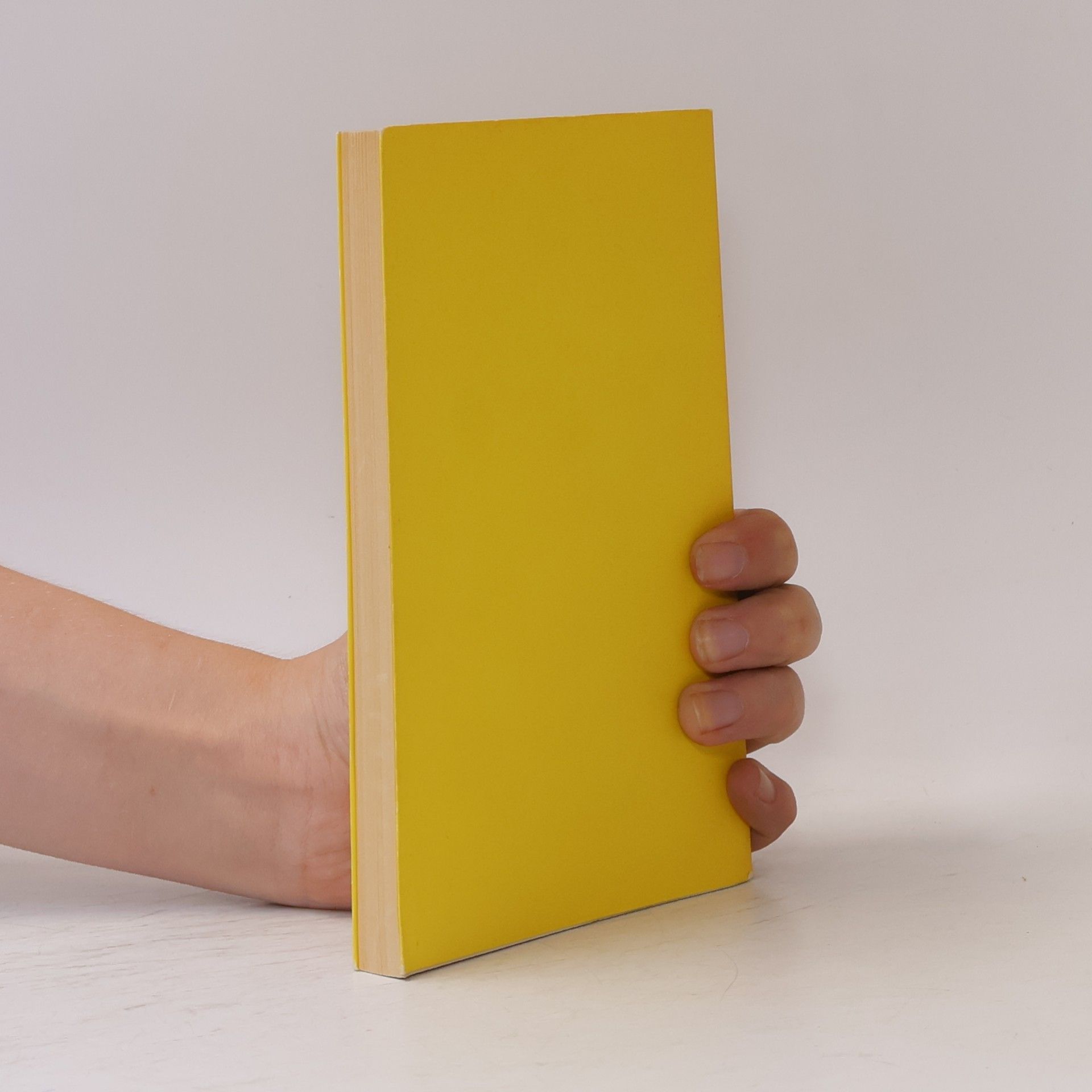 Stanislaus Joyce Das Dubliner Tagebuch