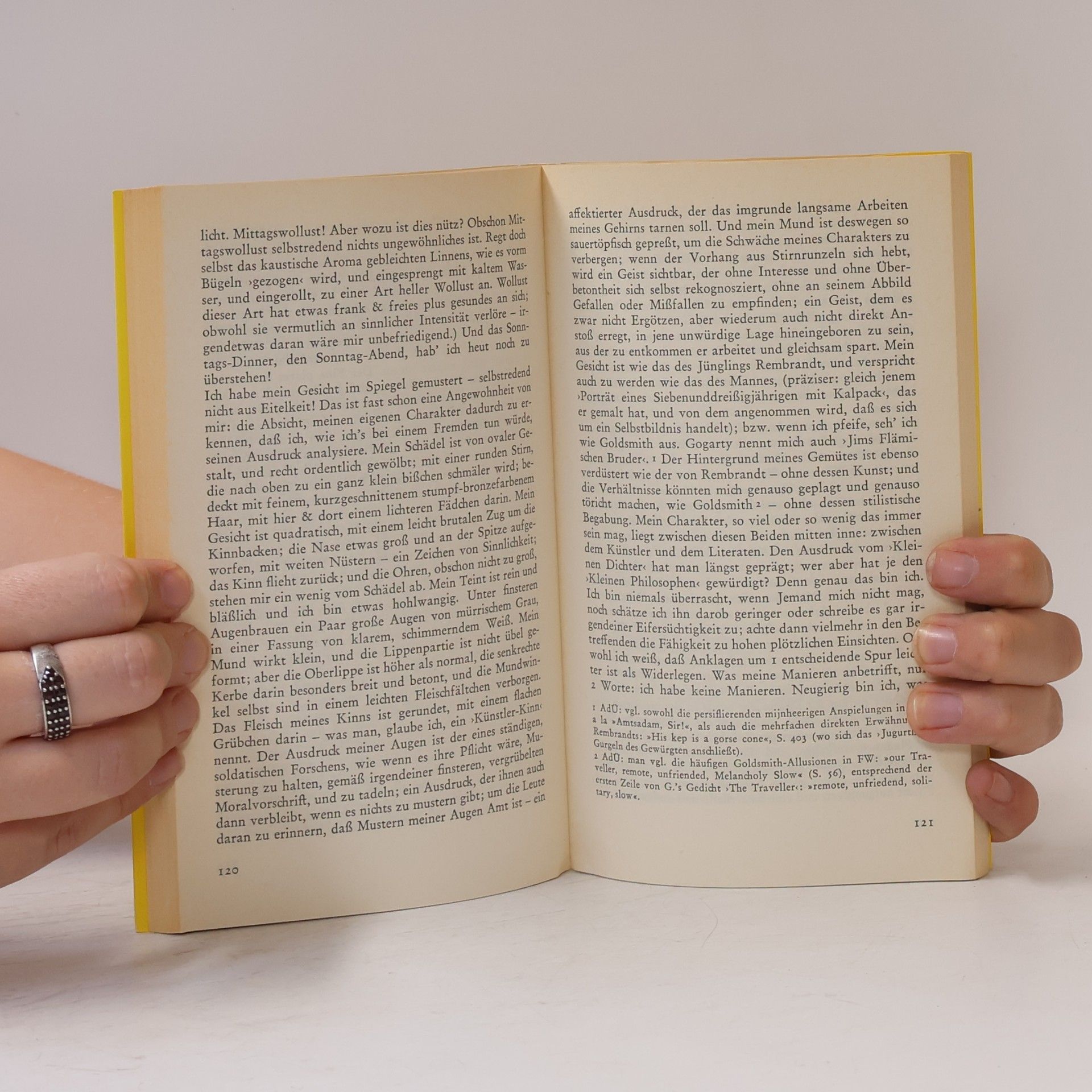 Stanislaus Joyce Das Dubliner Tagebuch