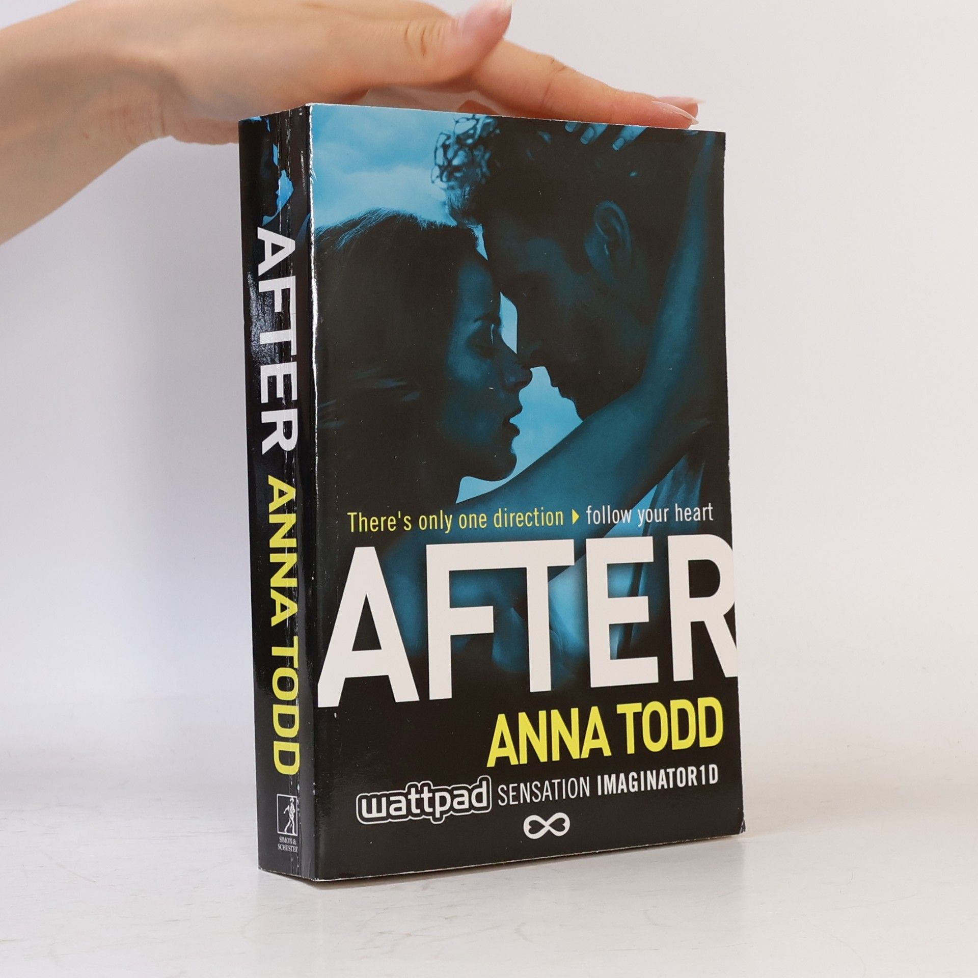 Anna Todd After