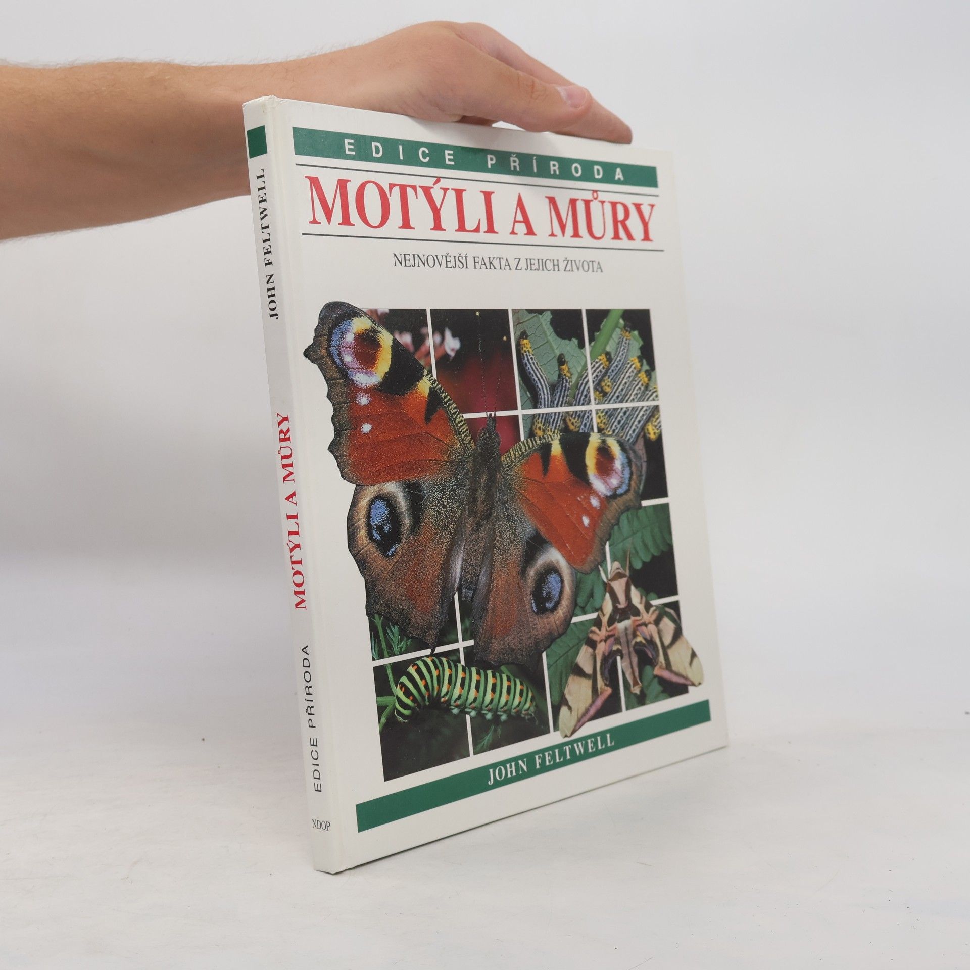 John Feltwell Motýli a můry