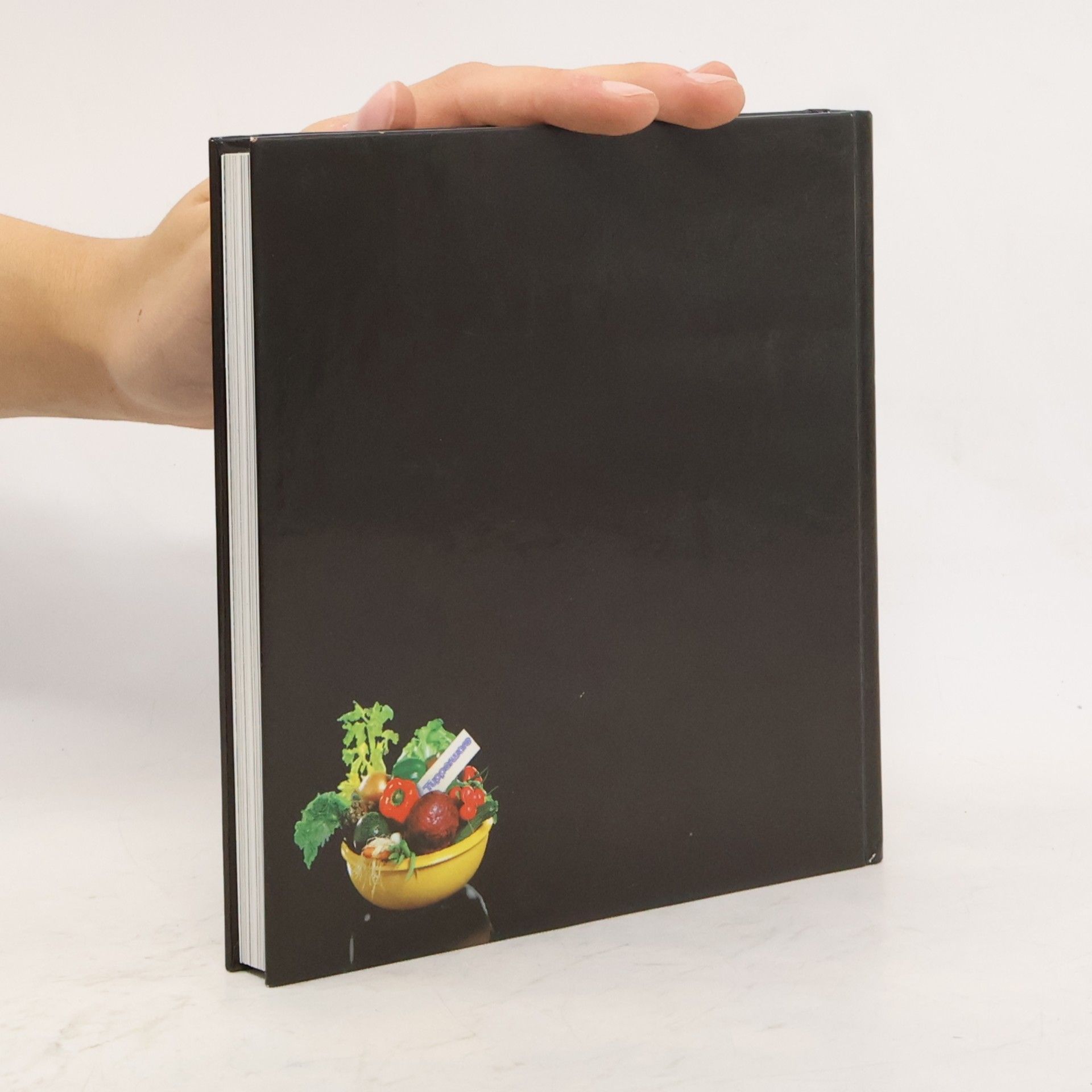 Kolektiv autorů Feines Tupperware Salat-Buffet